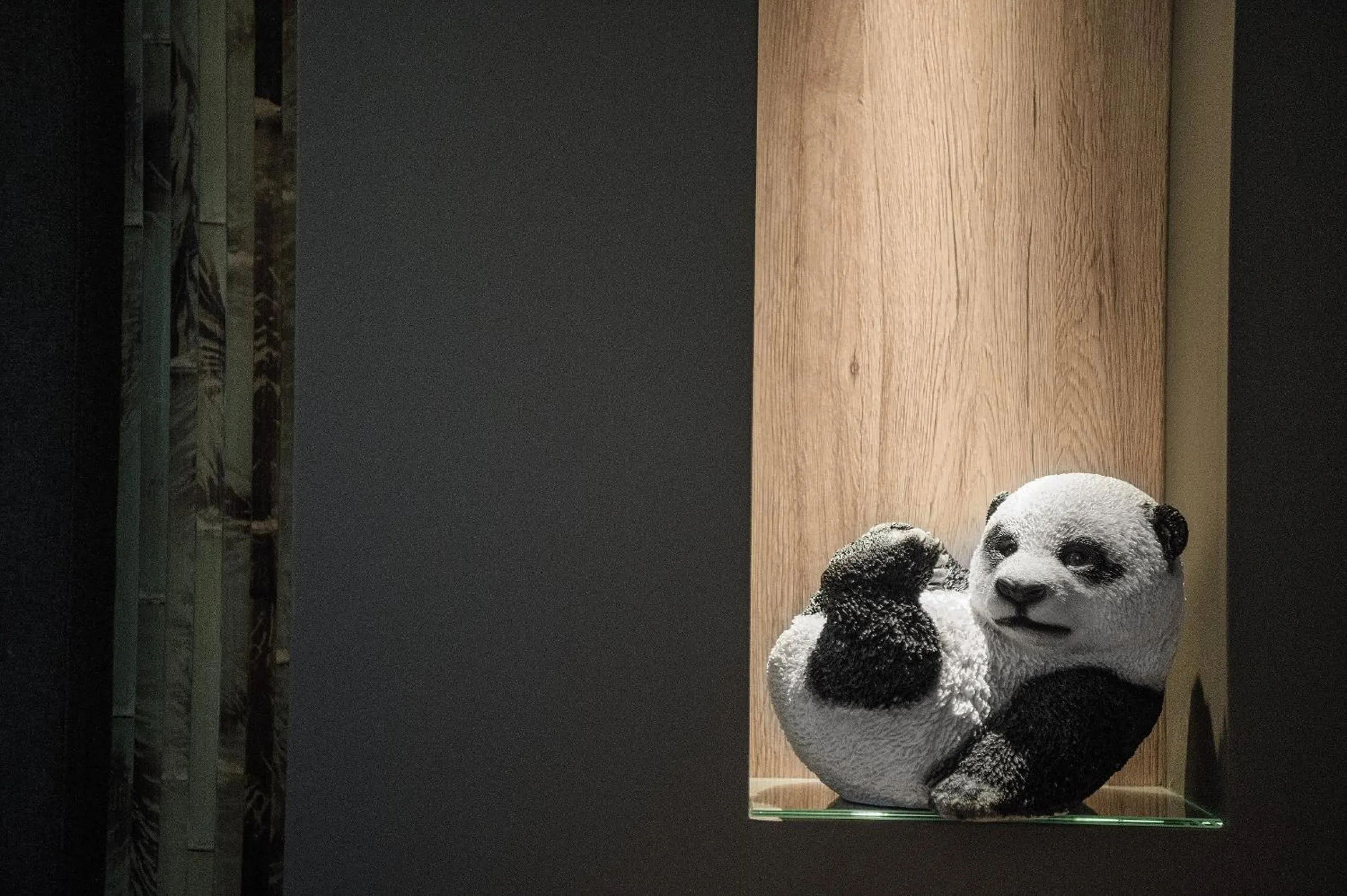 Photo of the whole room in Hotel dasMEI