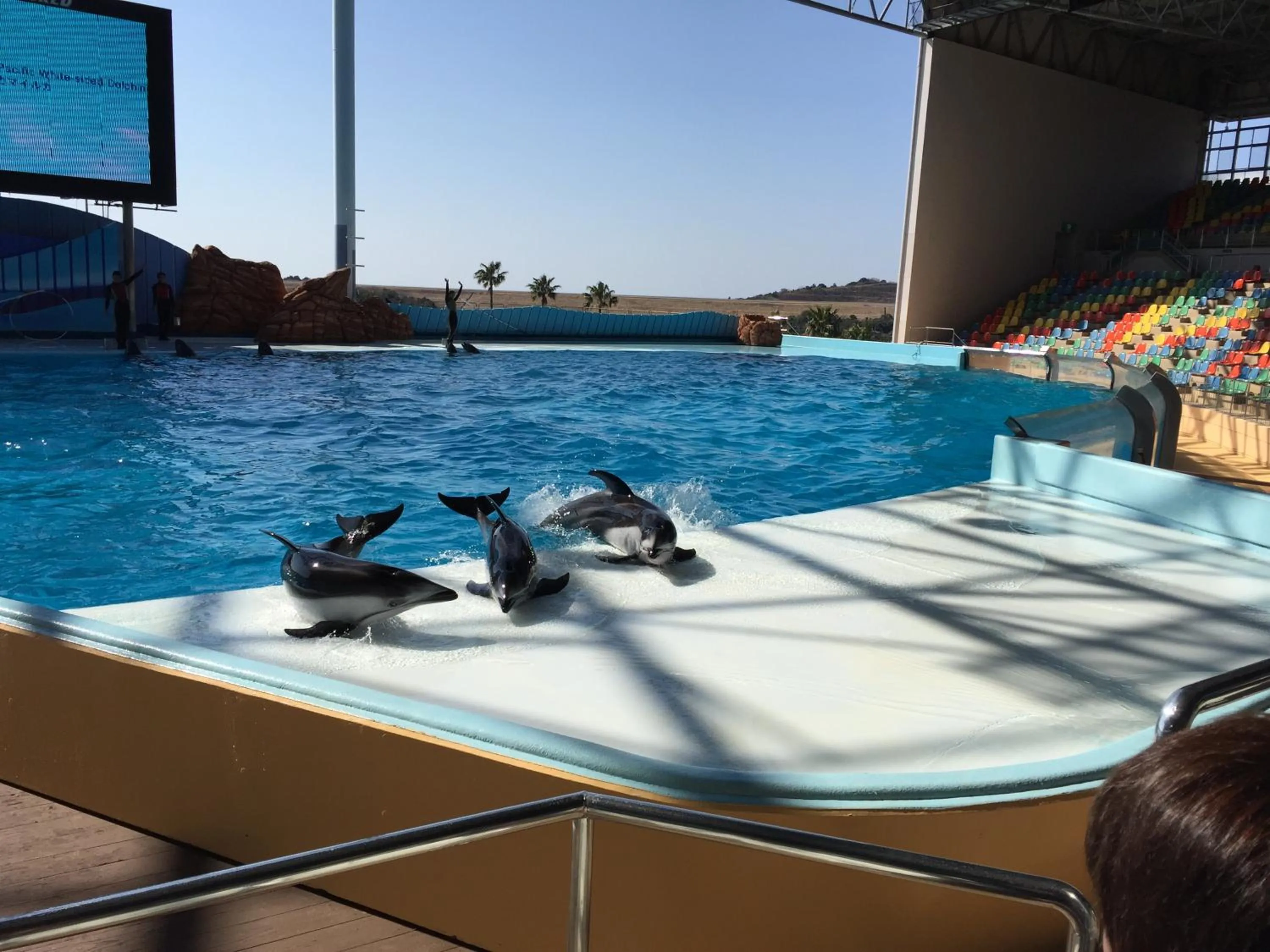 Other in Shinnishiki Hotel