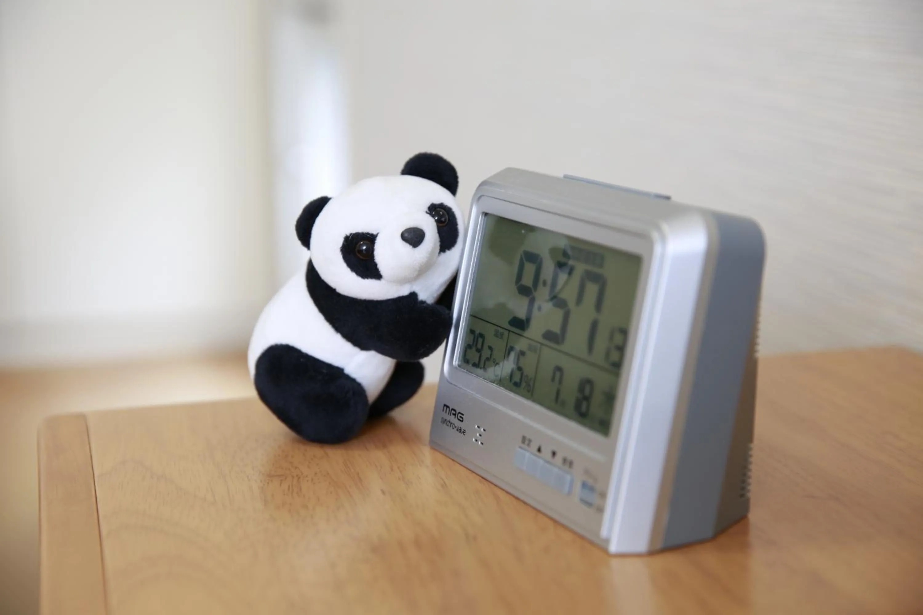 Other in Shinnishiki Hotel