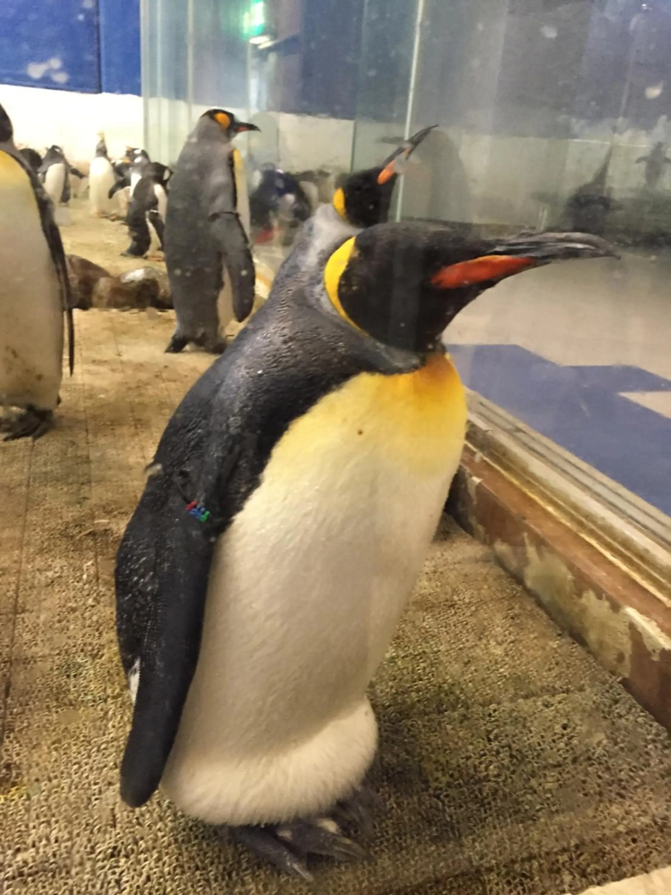 Off site in Shinnishiki Hotel