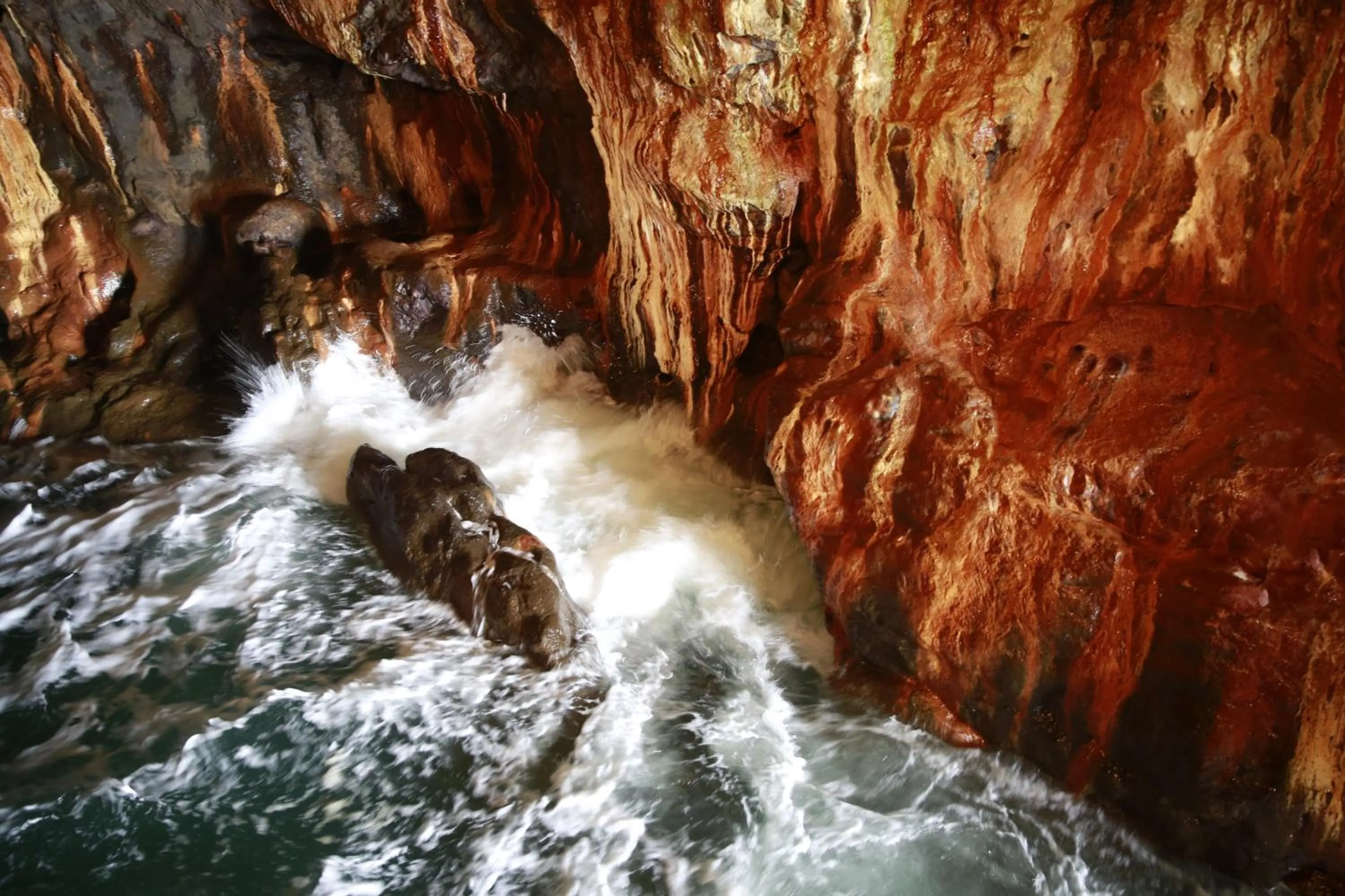 Other in Shinnishiki Hotel