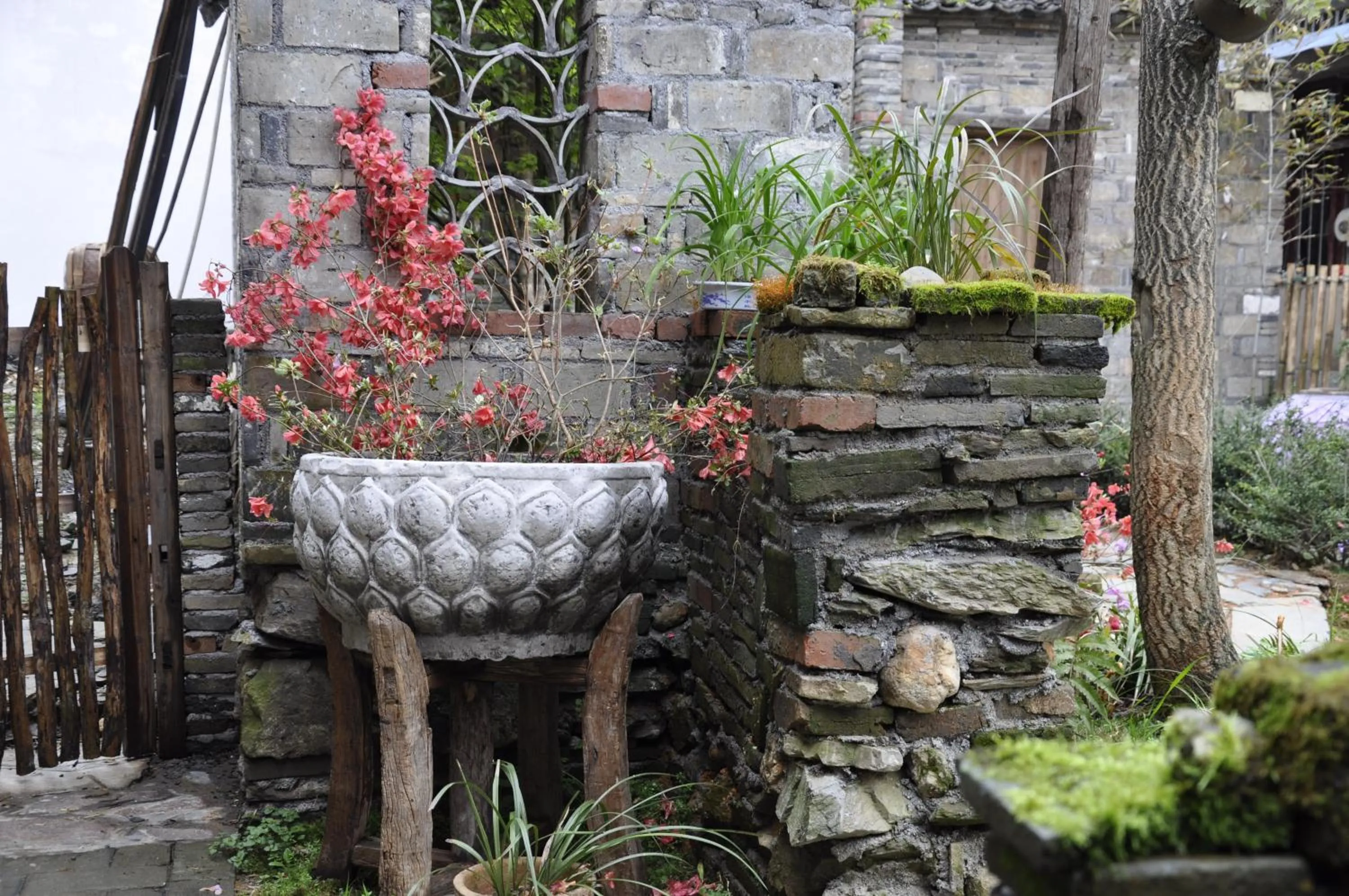 Garden in WuYuan QiYe YanXiang Guesthouse