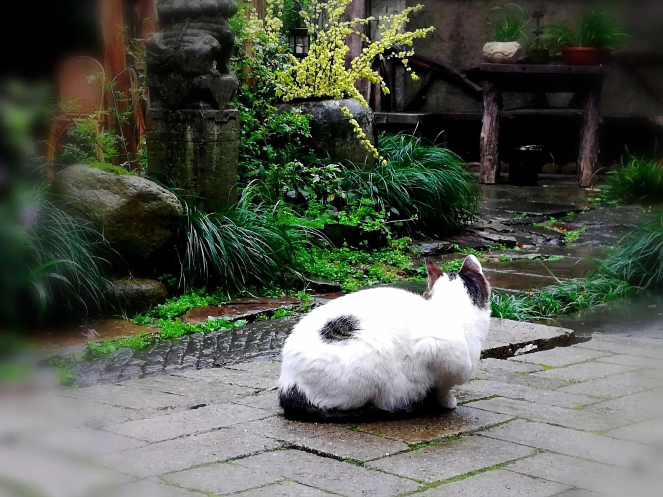 WuYuan QiYe YanXiang Guesthouse