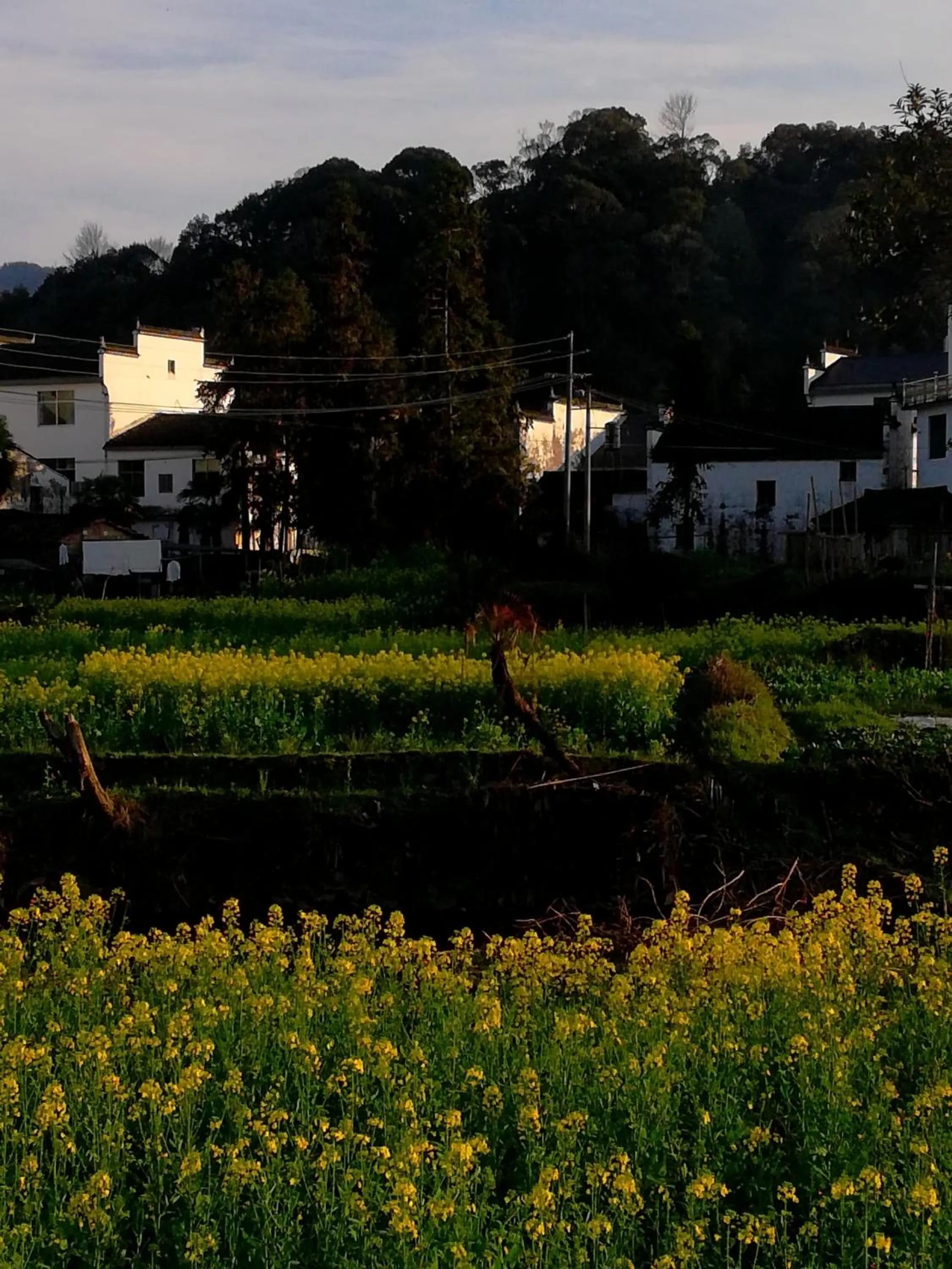 WuYuan QiYe YanXiang Guesthouse