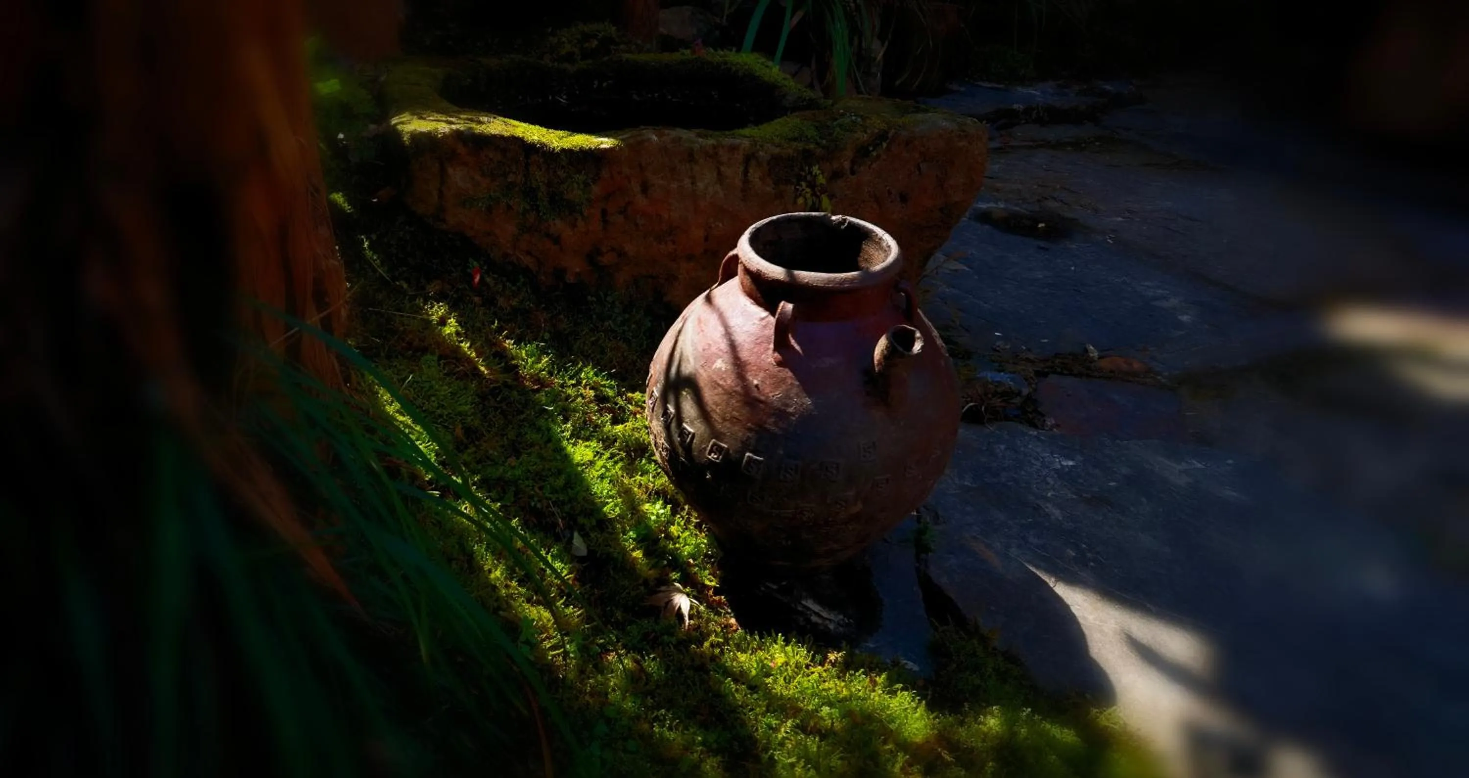 WuYuan QiYe YanXiang Guesthouse