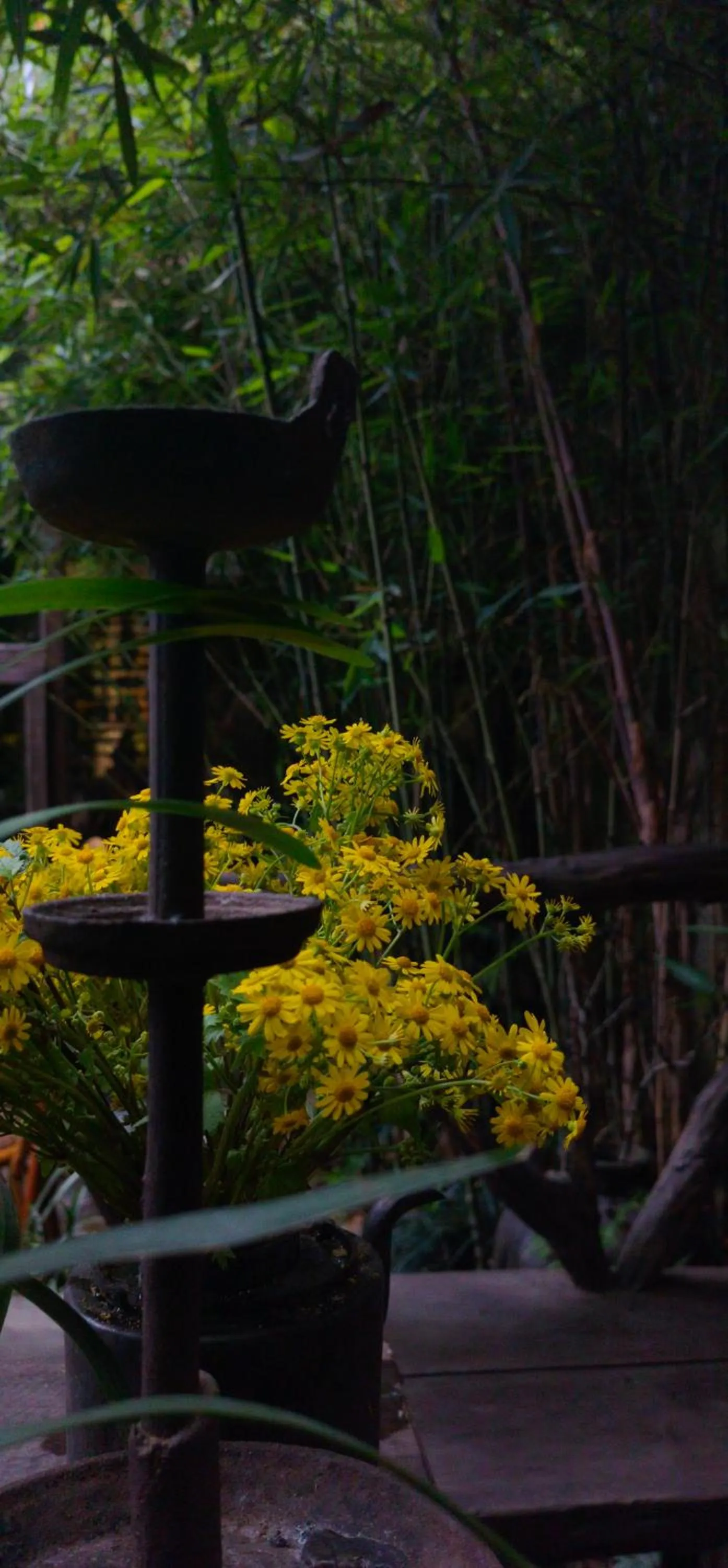 WuYuan QiYe YanXiang Guesthouse