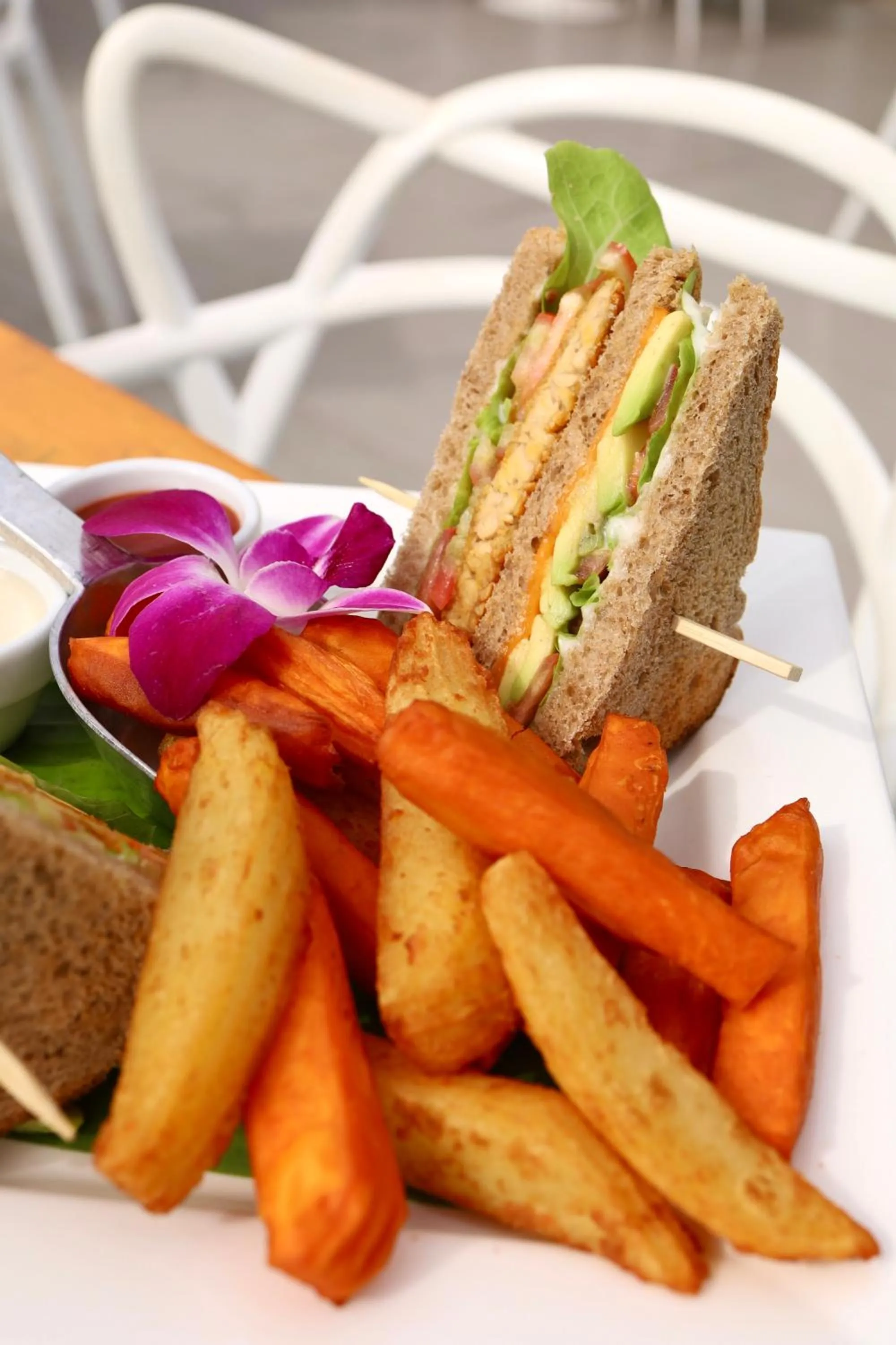 Bluerama - Adults Only