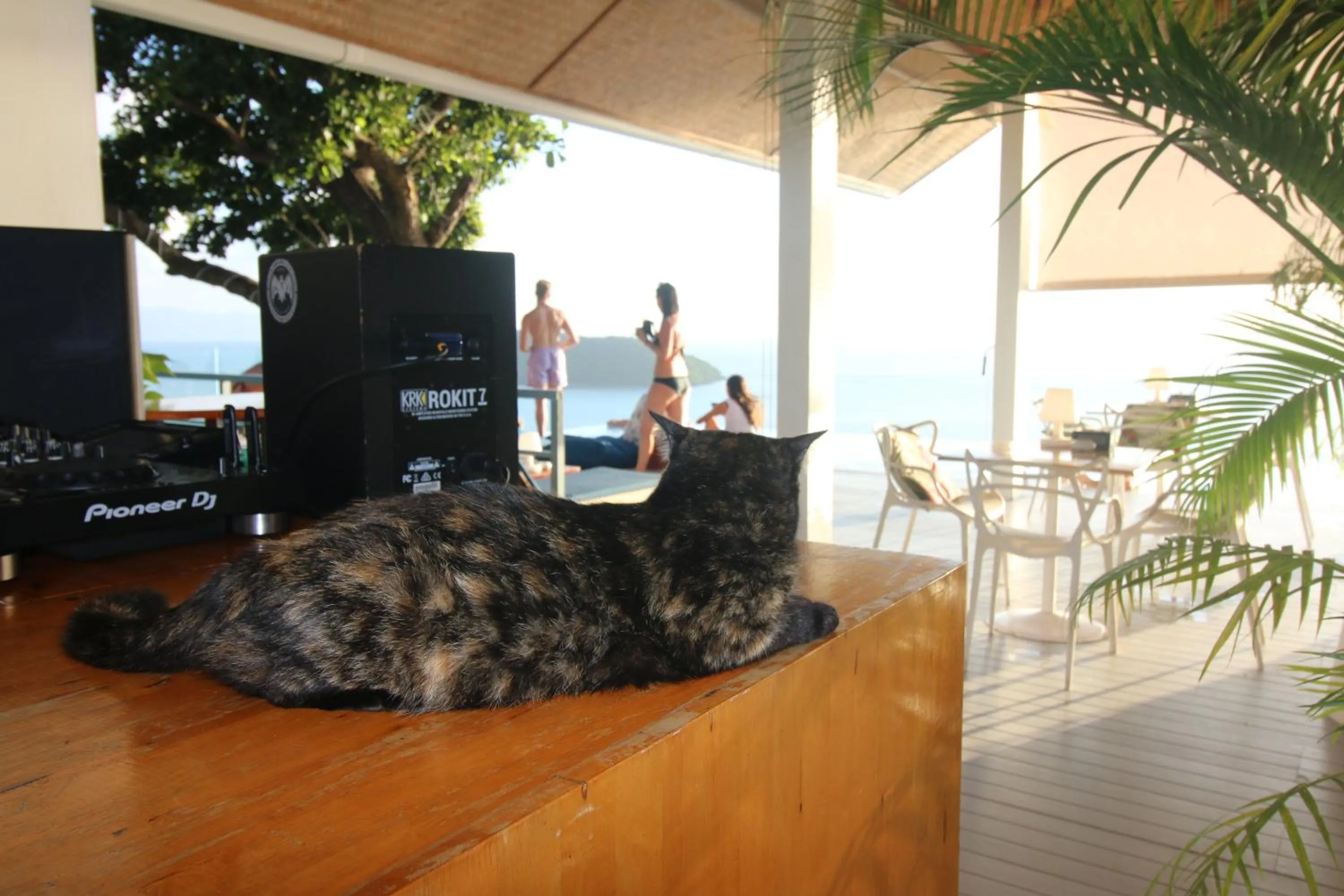 Bluerama - Adults Only