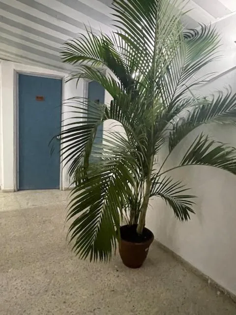 Hotel Costa Linda Beach Boca Chica