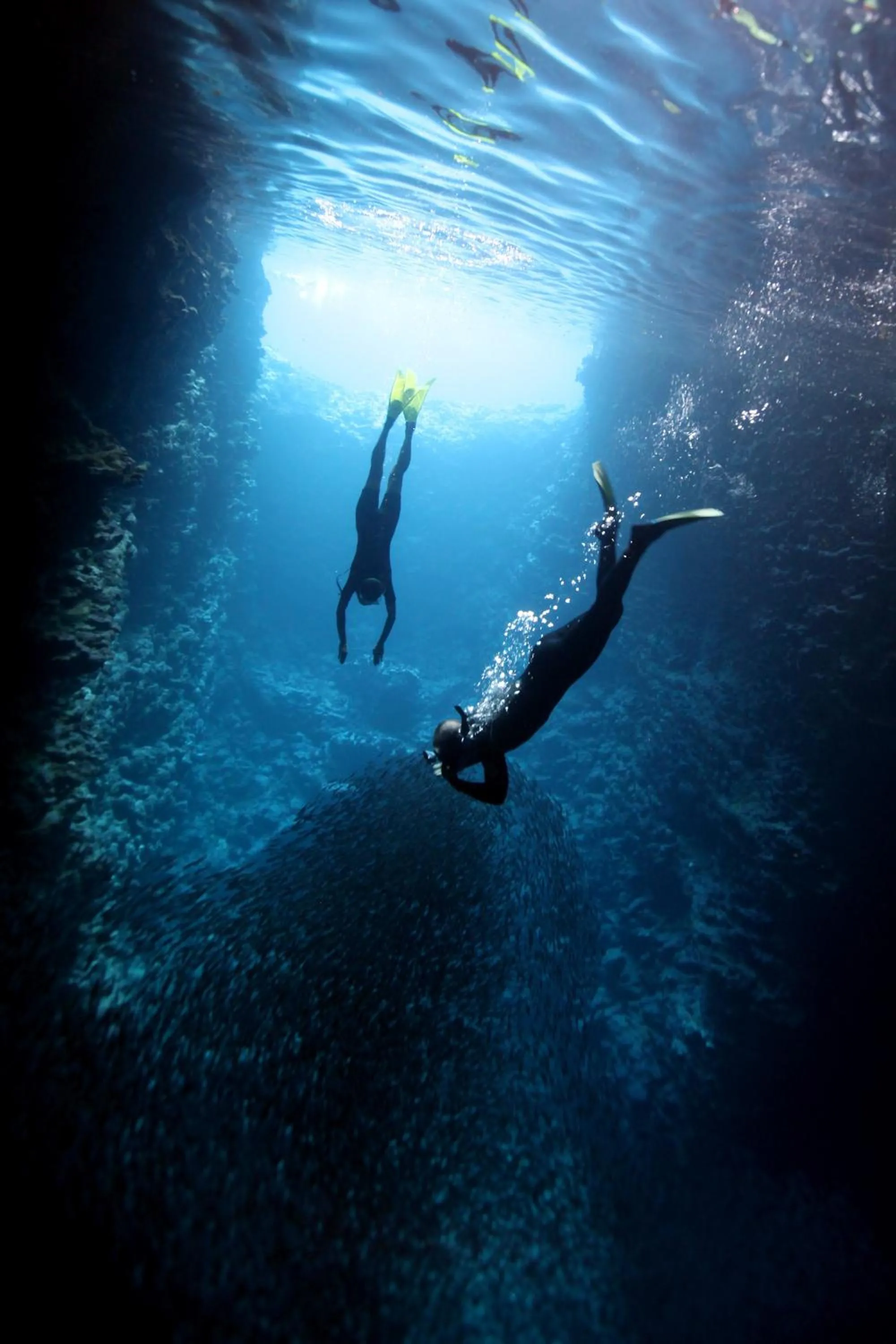 Snorkeling in Flying Annie Moa