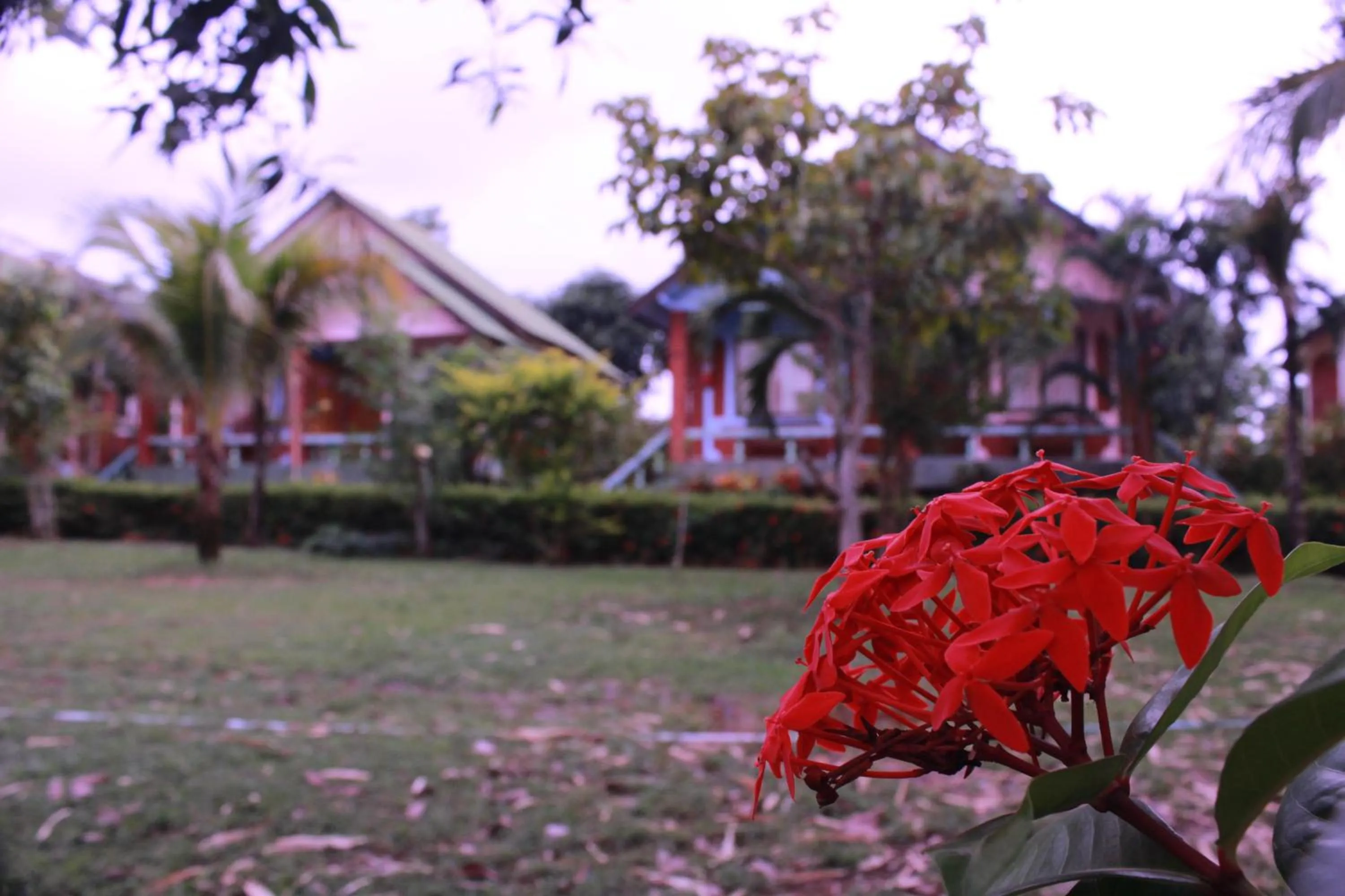Natural landscape in Lanta Queen Resort