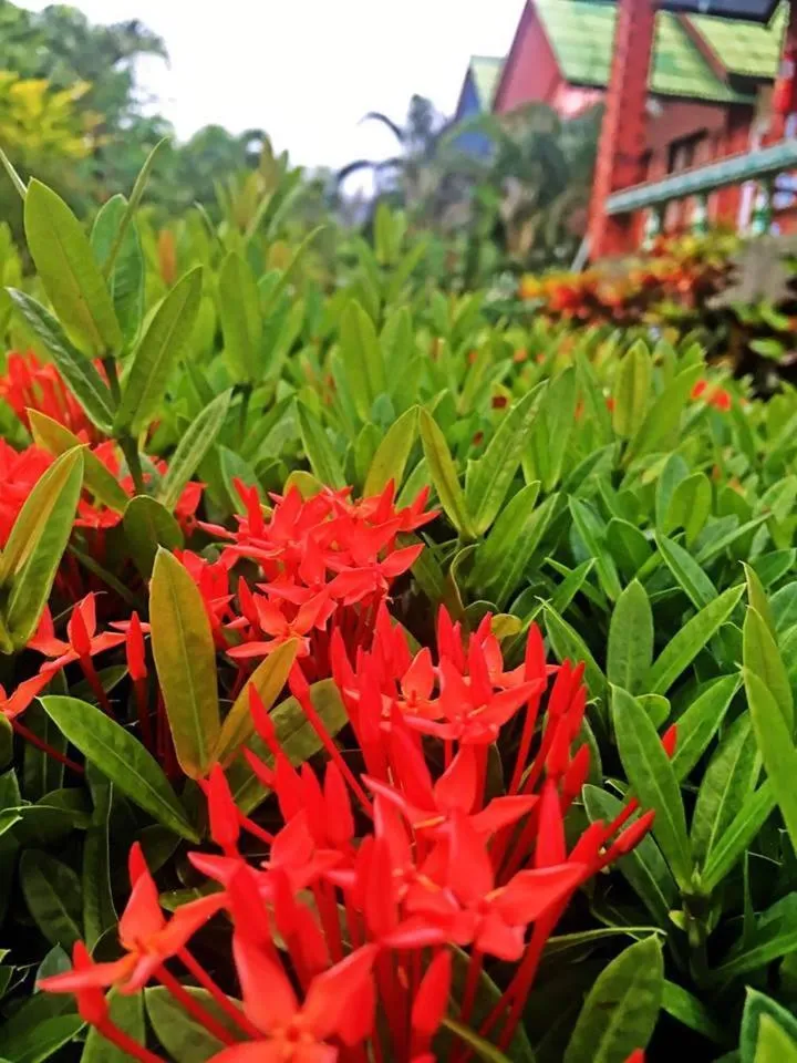 Garden in Lanta Queen Resort