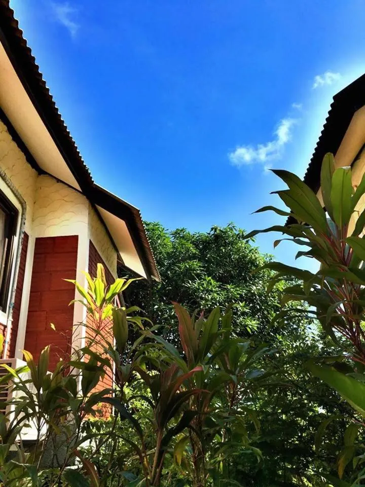 Area and facilities in Lanta Queen Resort