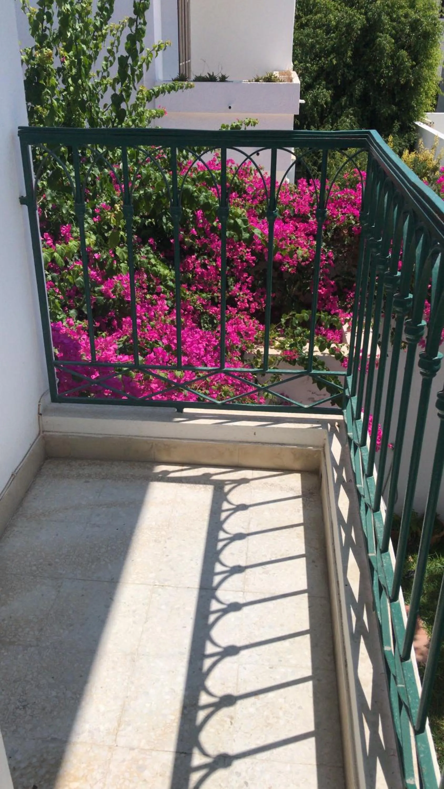Patio in Dar Esma