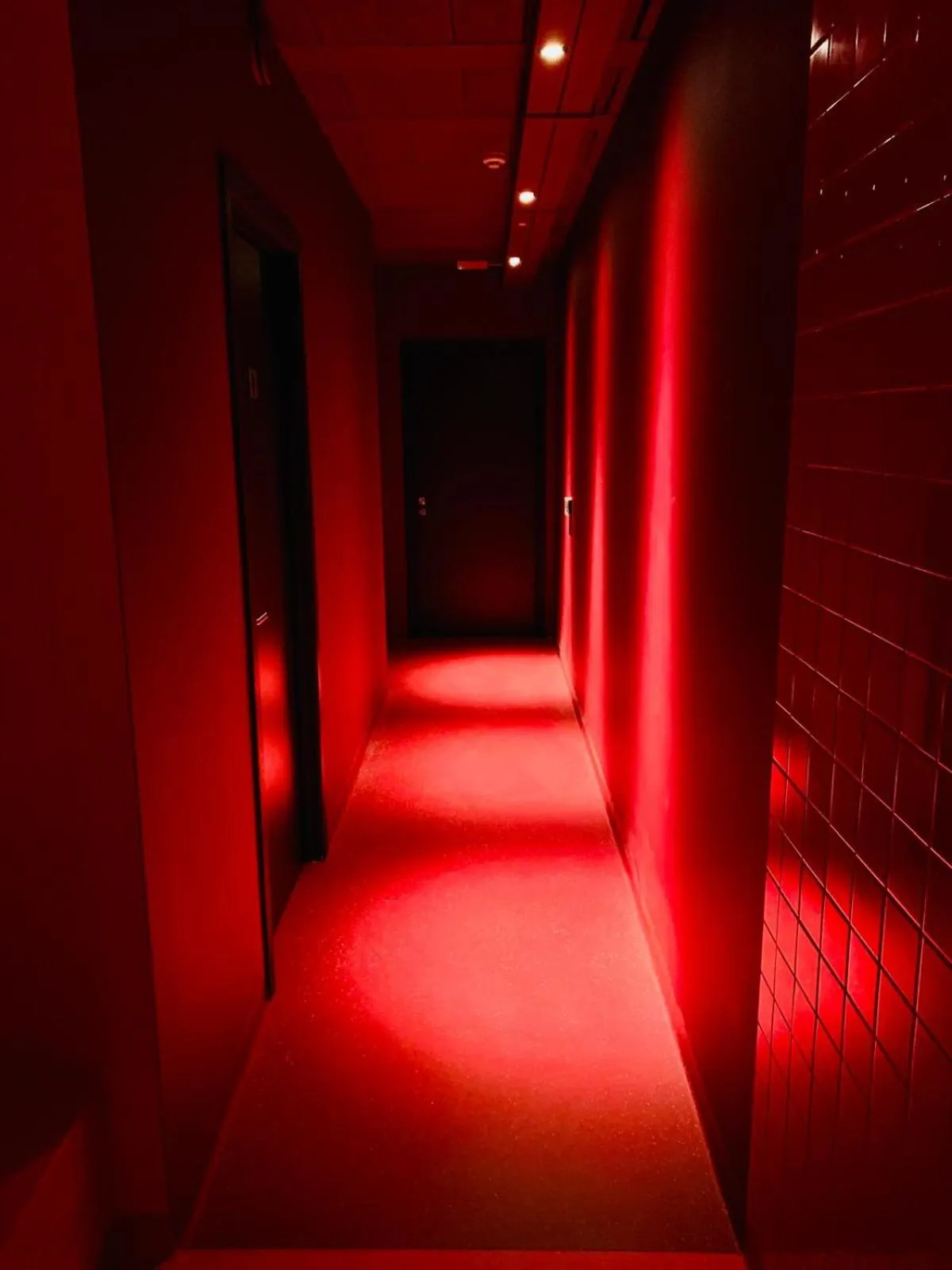 Toilet in Hotel Van Belle