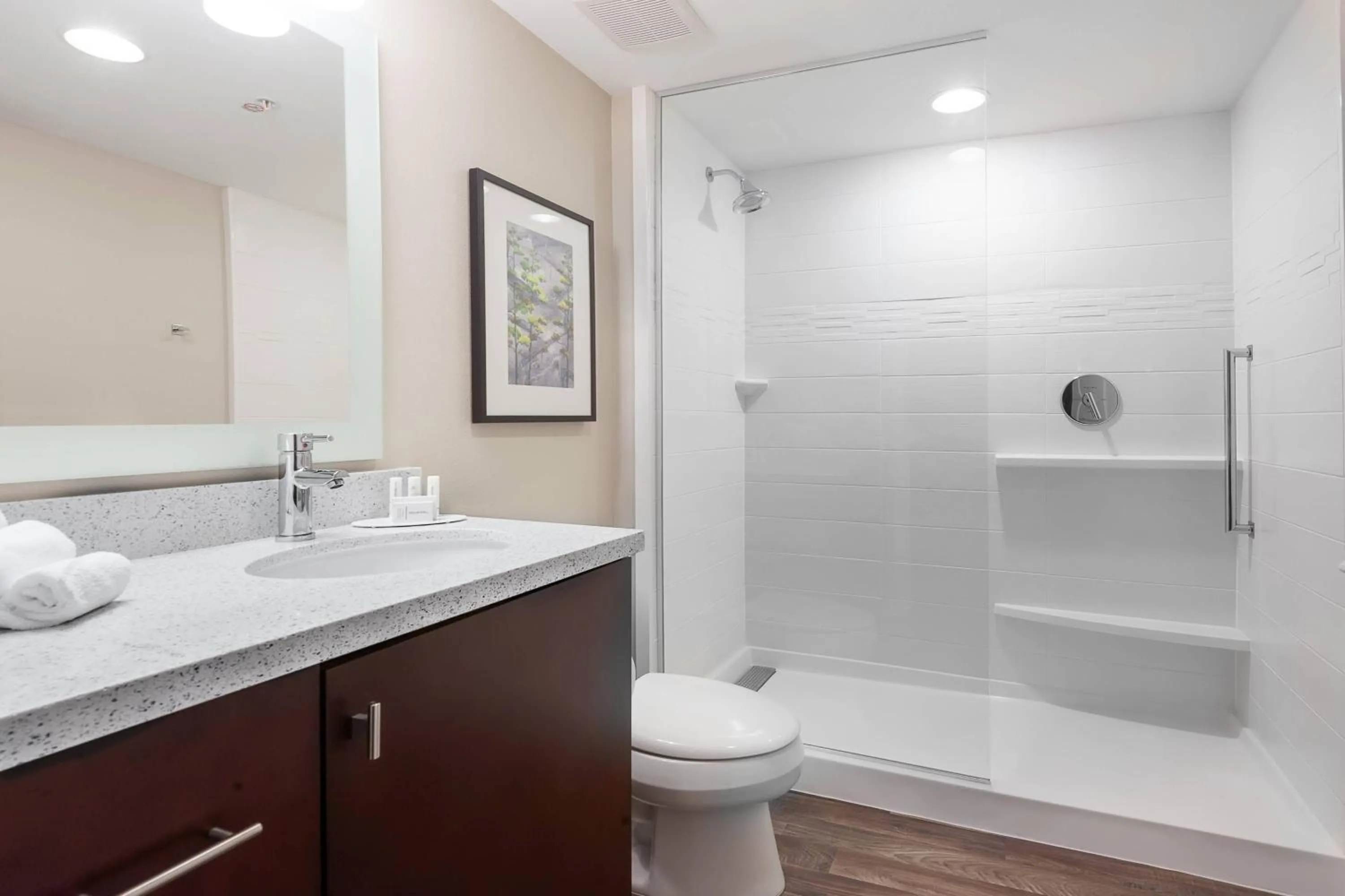 Bathroom in TownePlace Suites by Marriott Austin Parmer/Tech Ridge