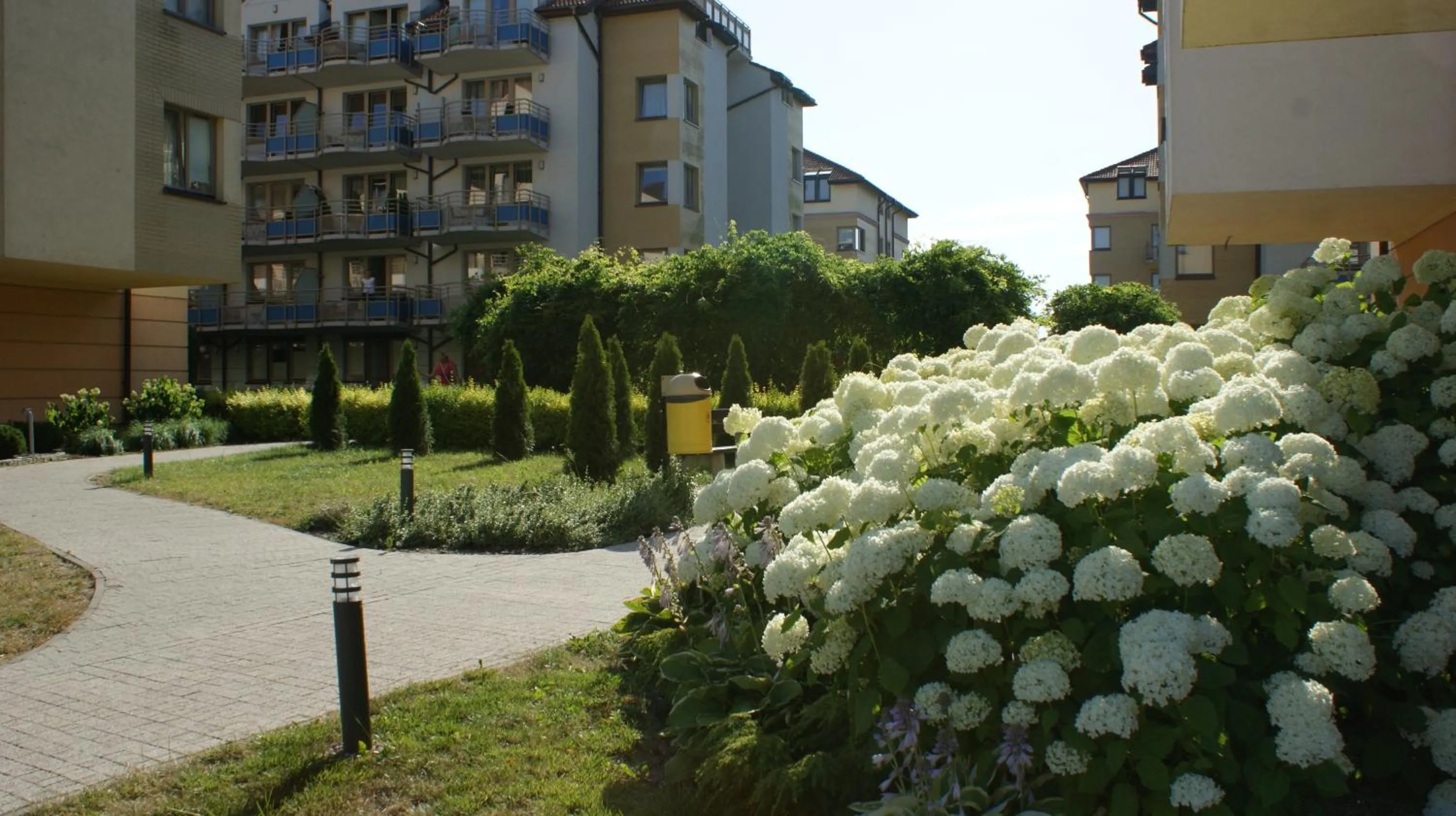 Garden in Apartament Agata