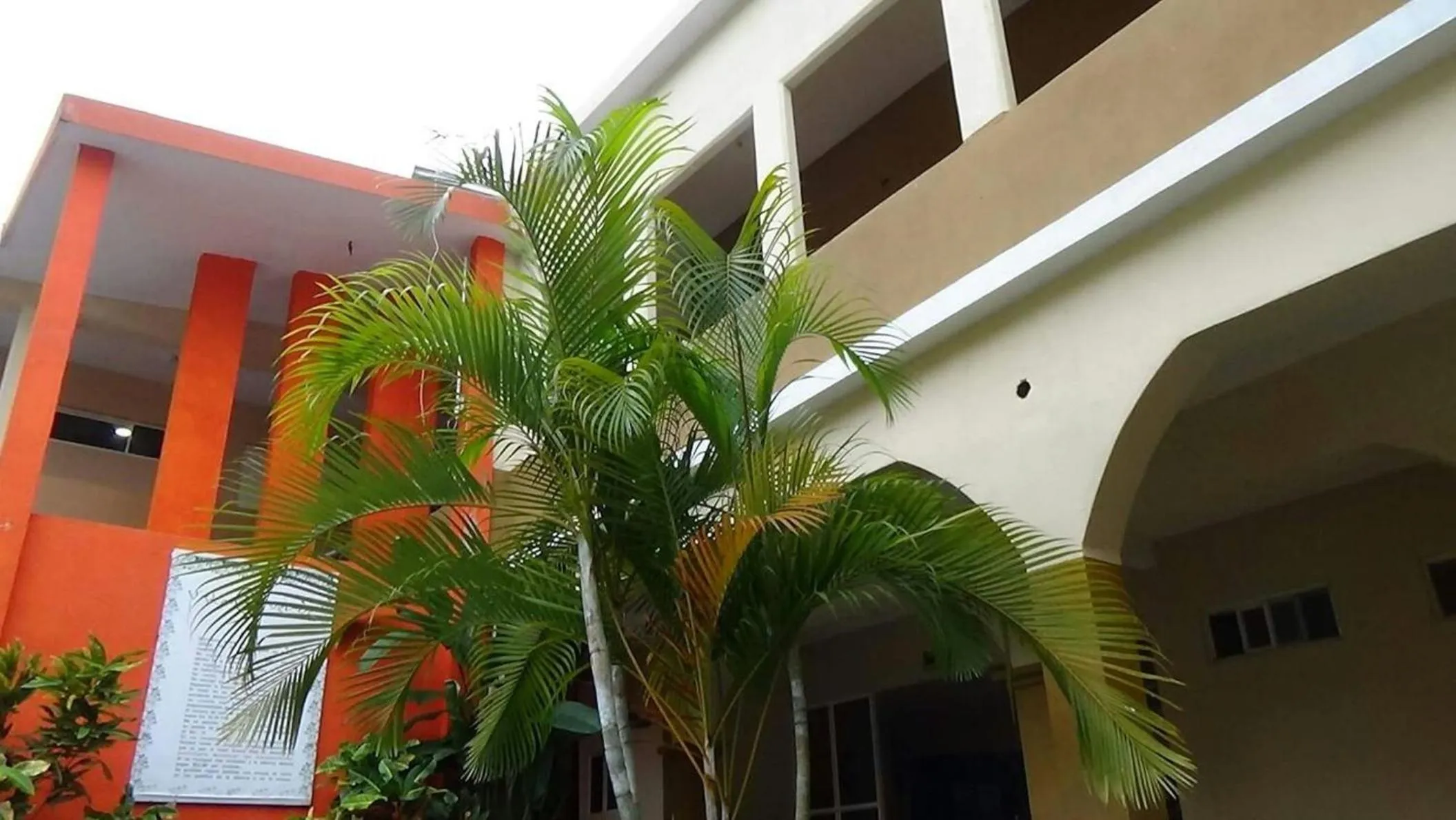 Garden in Hotel Vista Verde