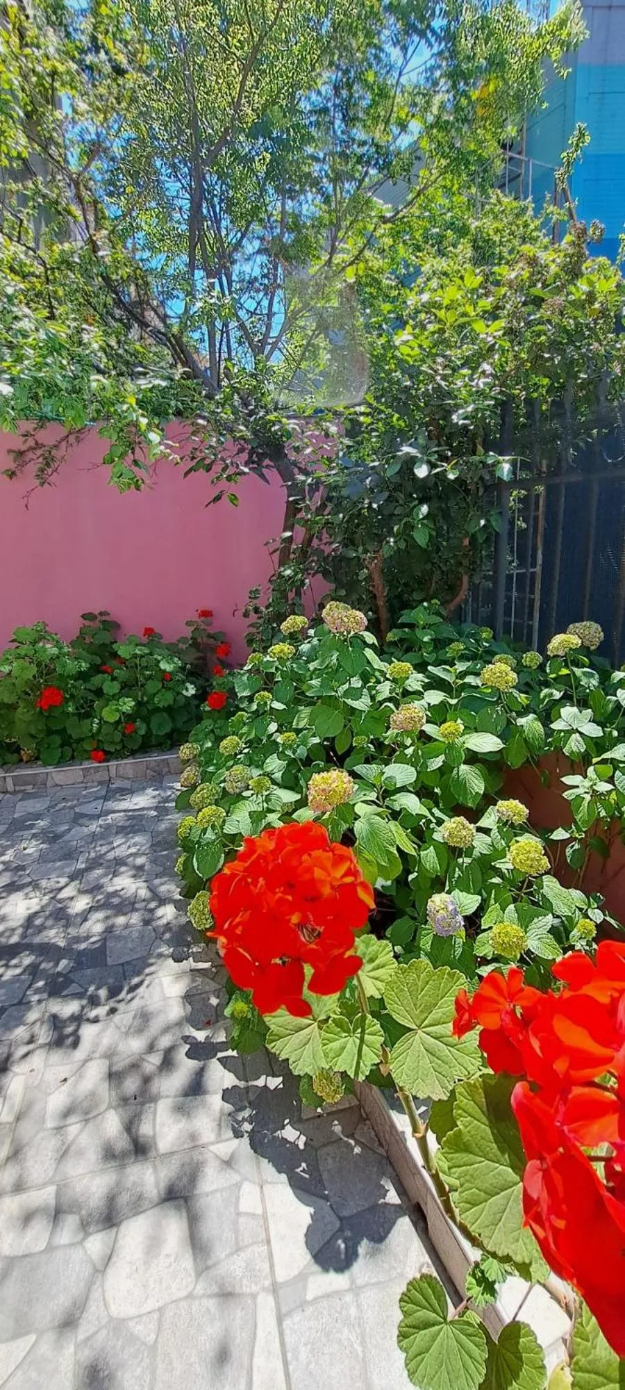 Spring in Golden Life Apart Hotel