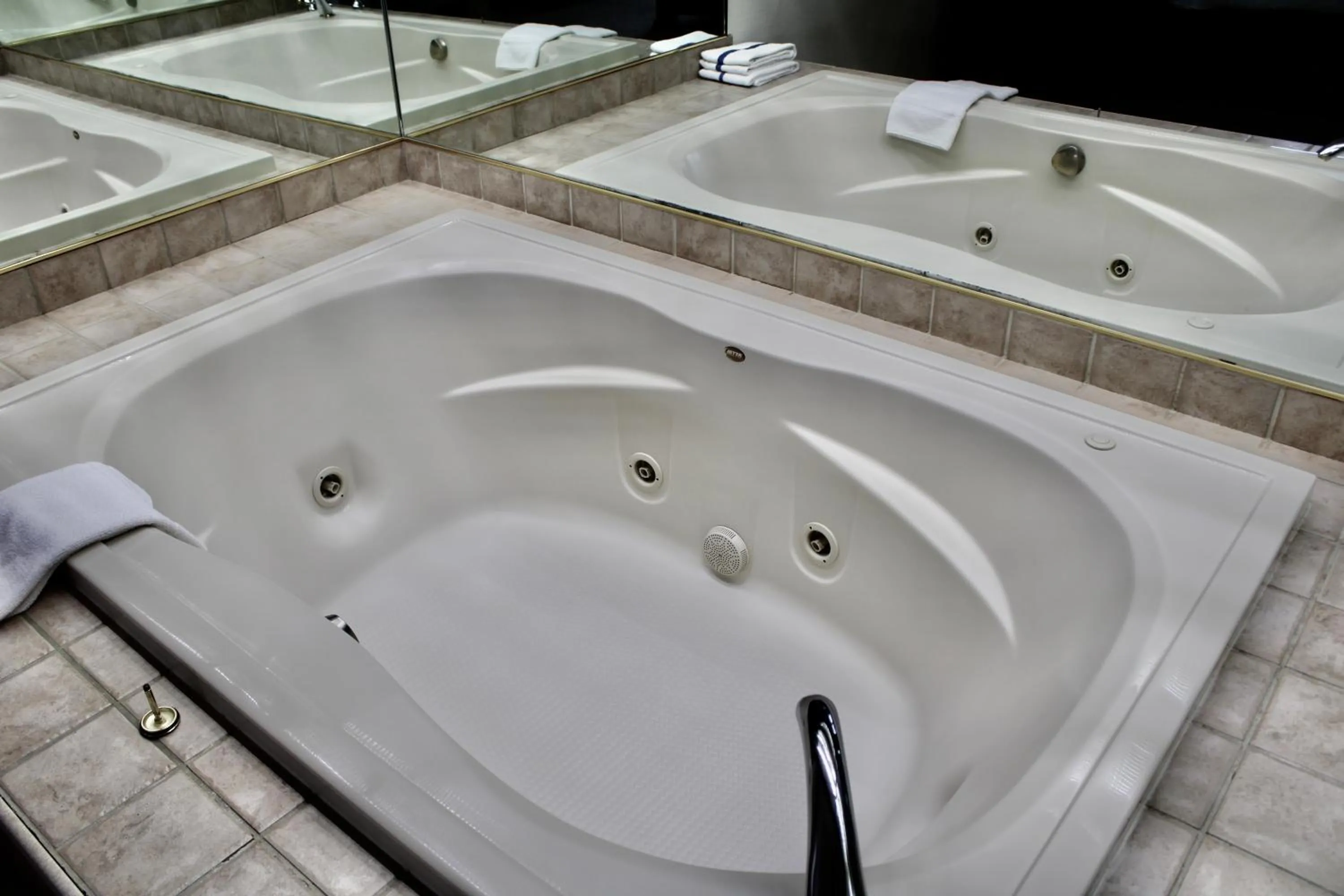 Carlton Lodge Hotel and Suites