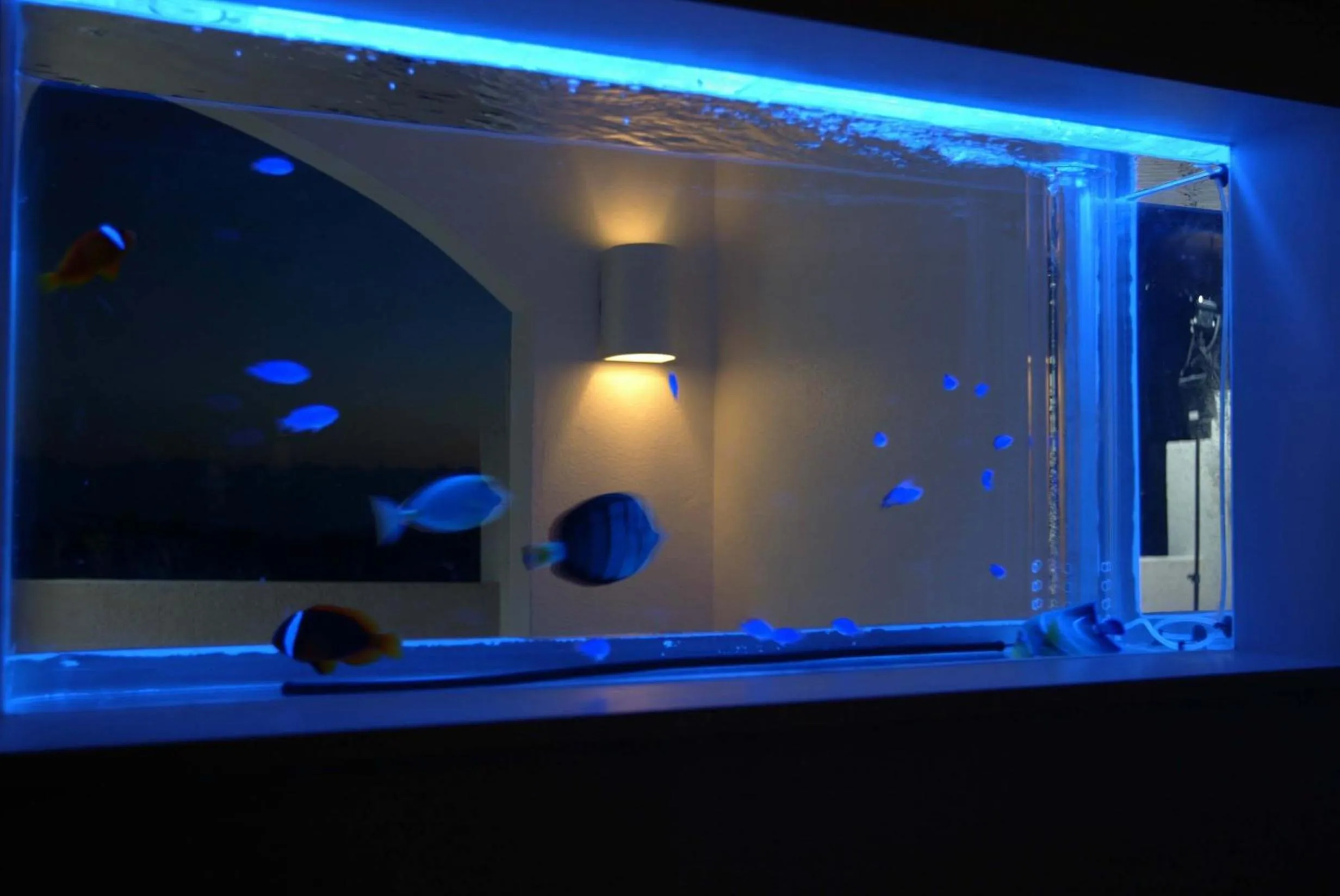 Resort Hotel Corte Largo Izu Kogen