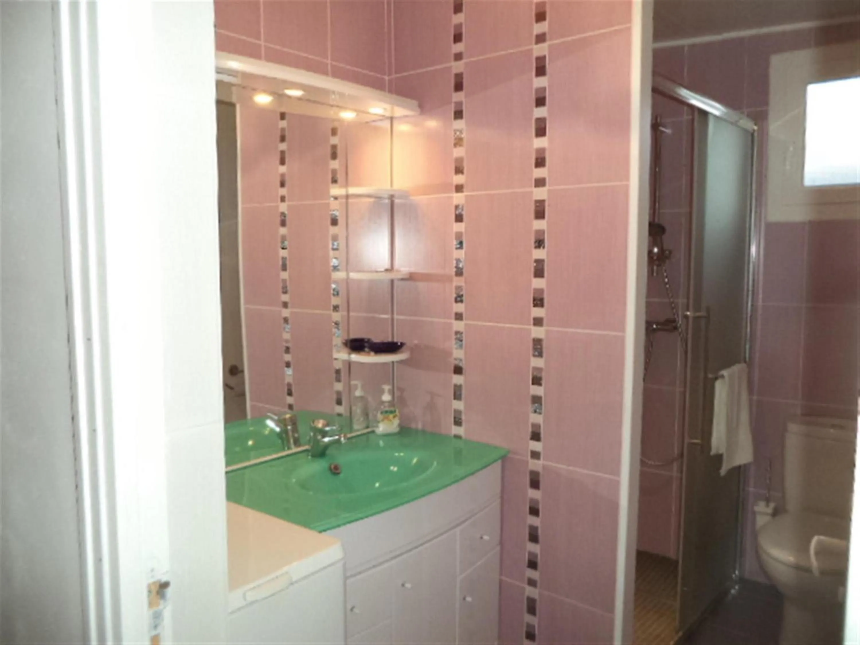 Shower in Maison de vacances à Créances