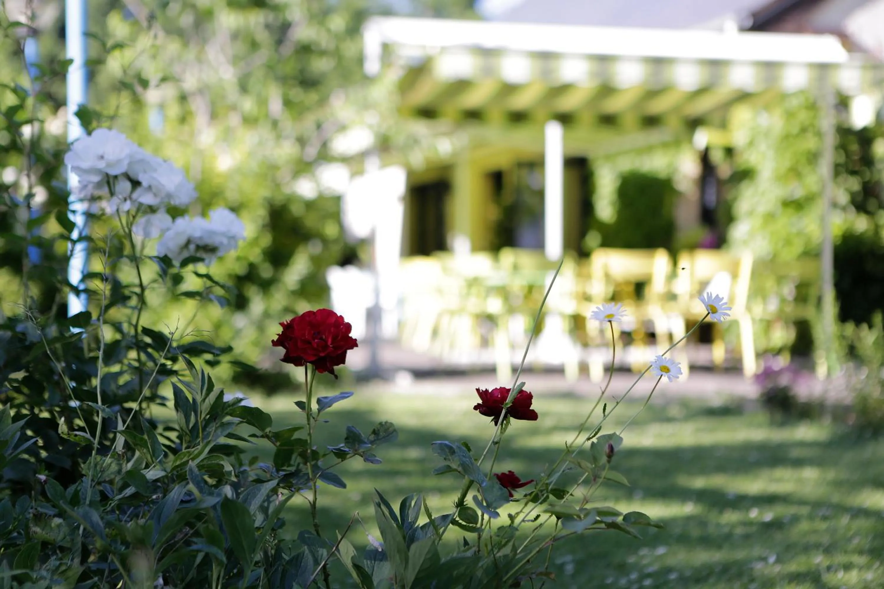 Garden in Logis Auberge du Barrez