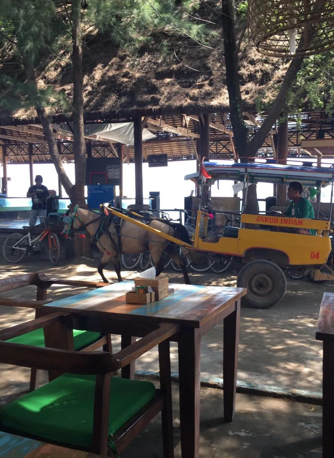 Gili Turtle Beach Resort