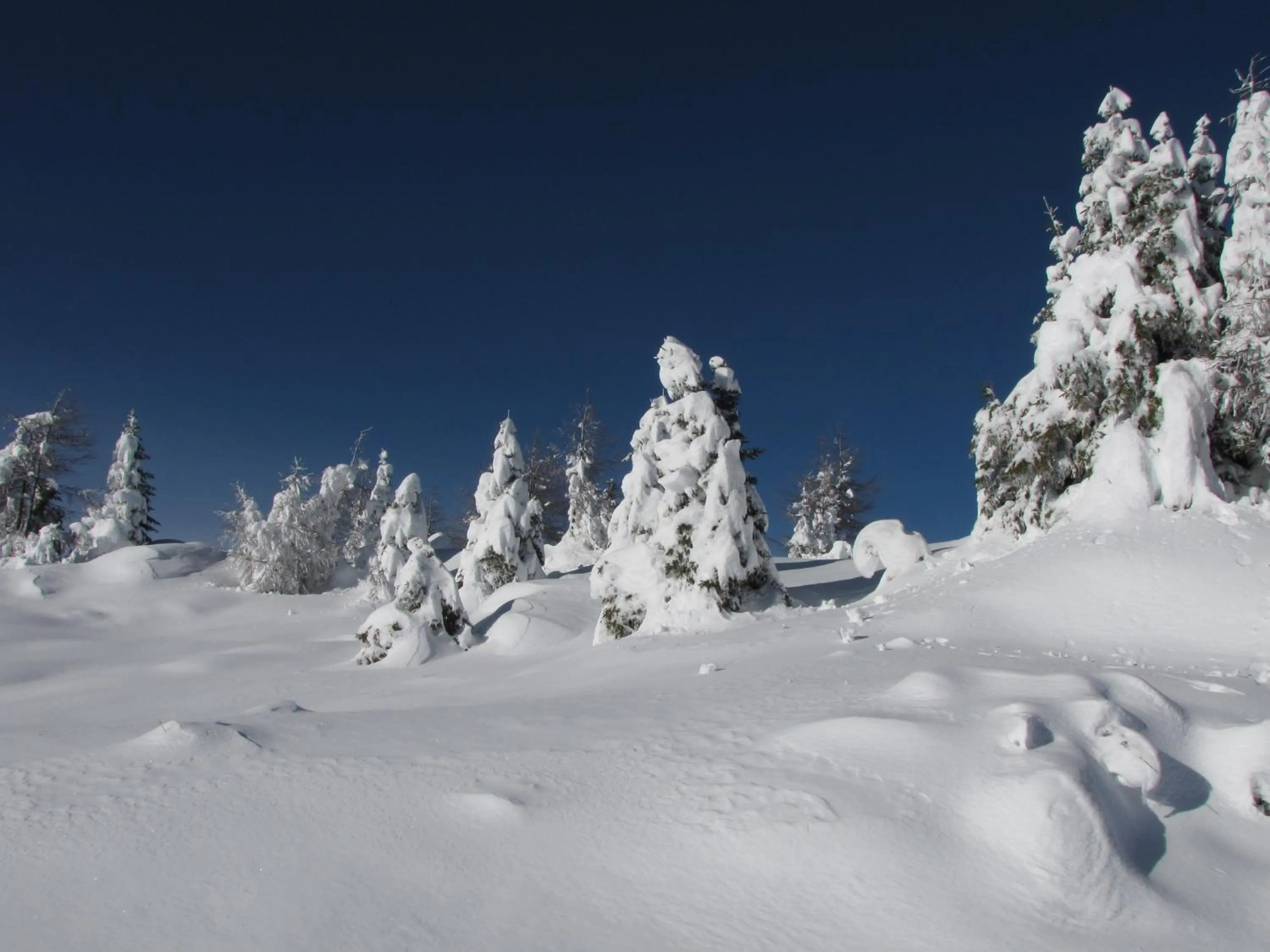 Residence Garden Appartamenti Solandra