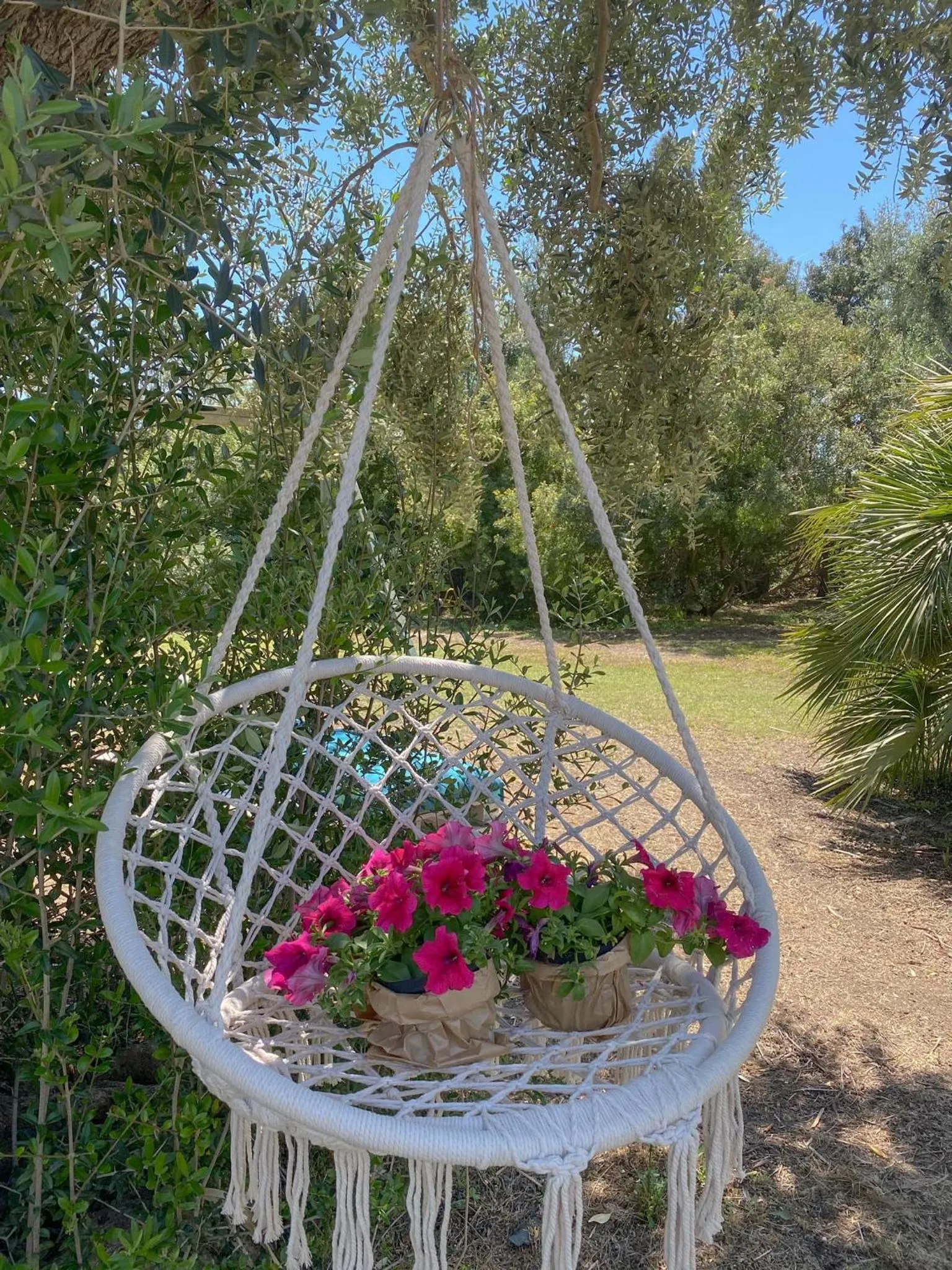 Garden in Hotel Masseria Marziale