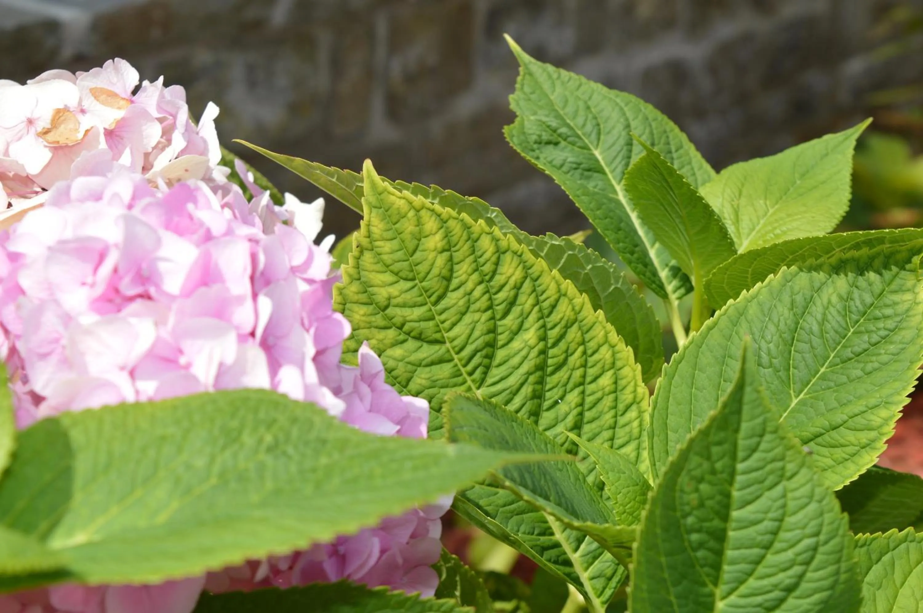 Hotel La Heid des Pairs