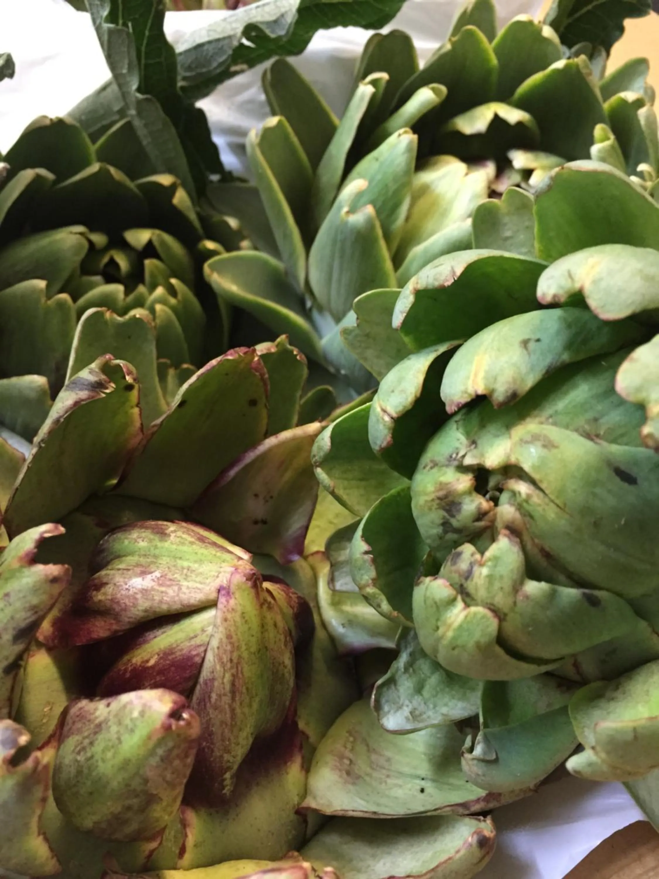 Restaurant/places to eat in il Regalo イルレガーロ