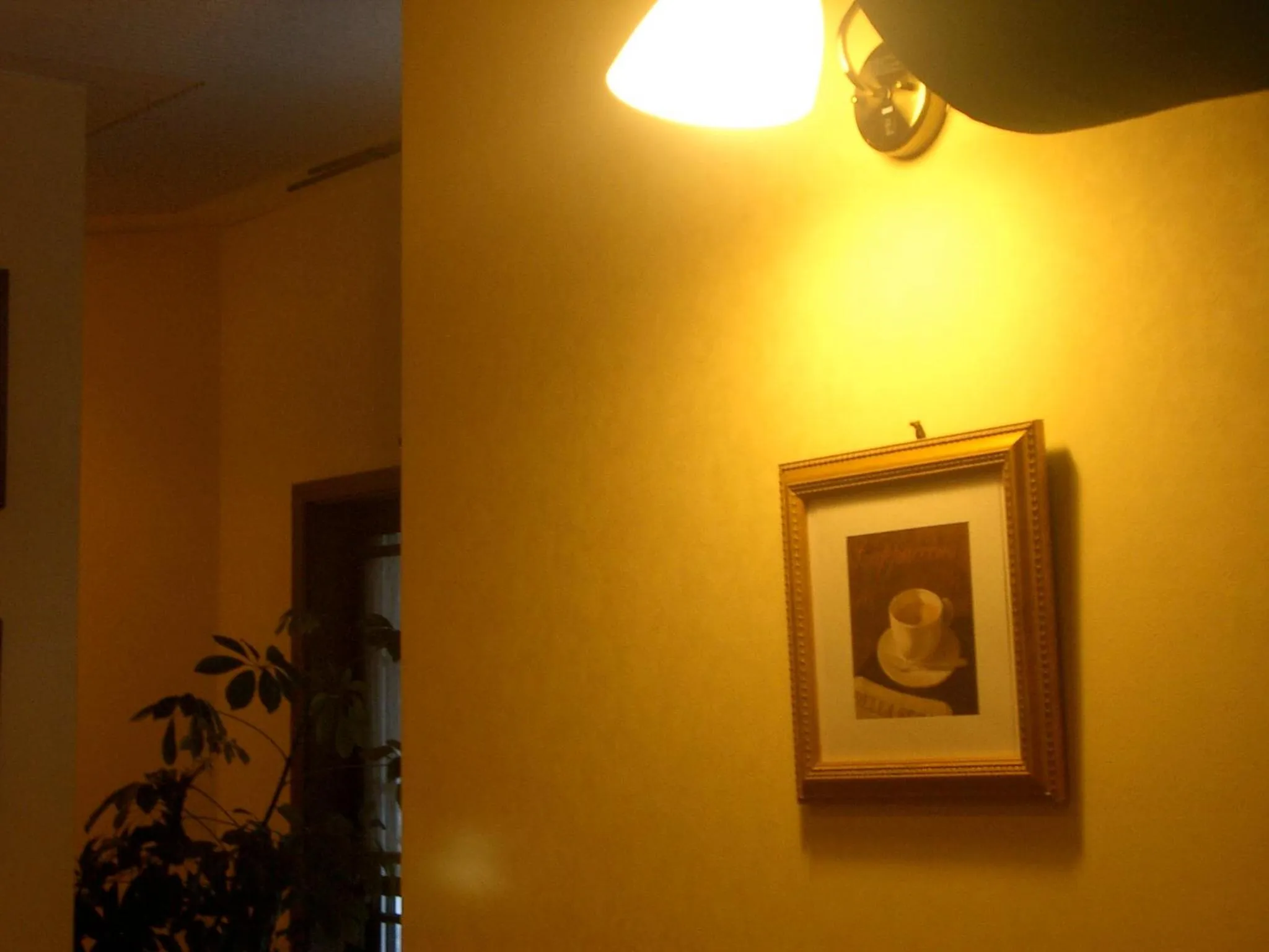 Restaurant/places to eat in il Regalo イルレガーロ