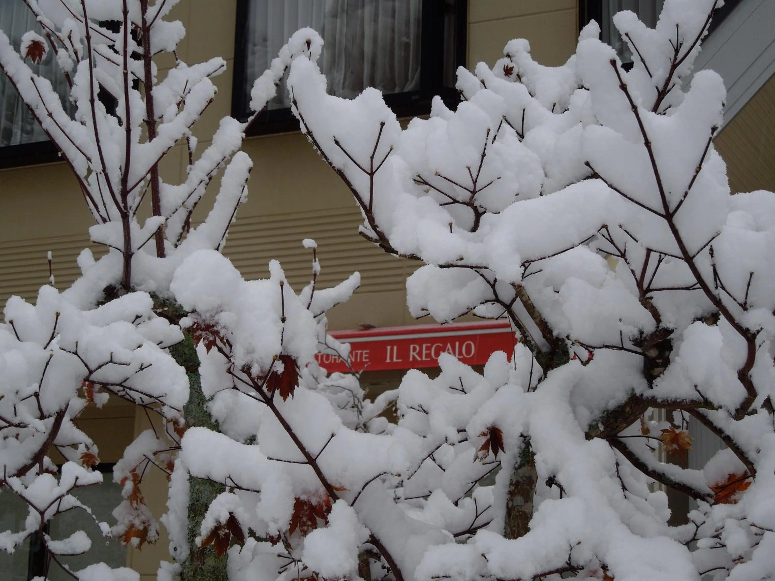 Property building in il Regalo イルレガーロ