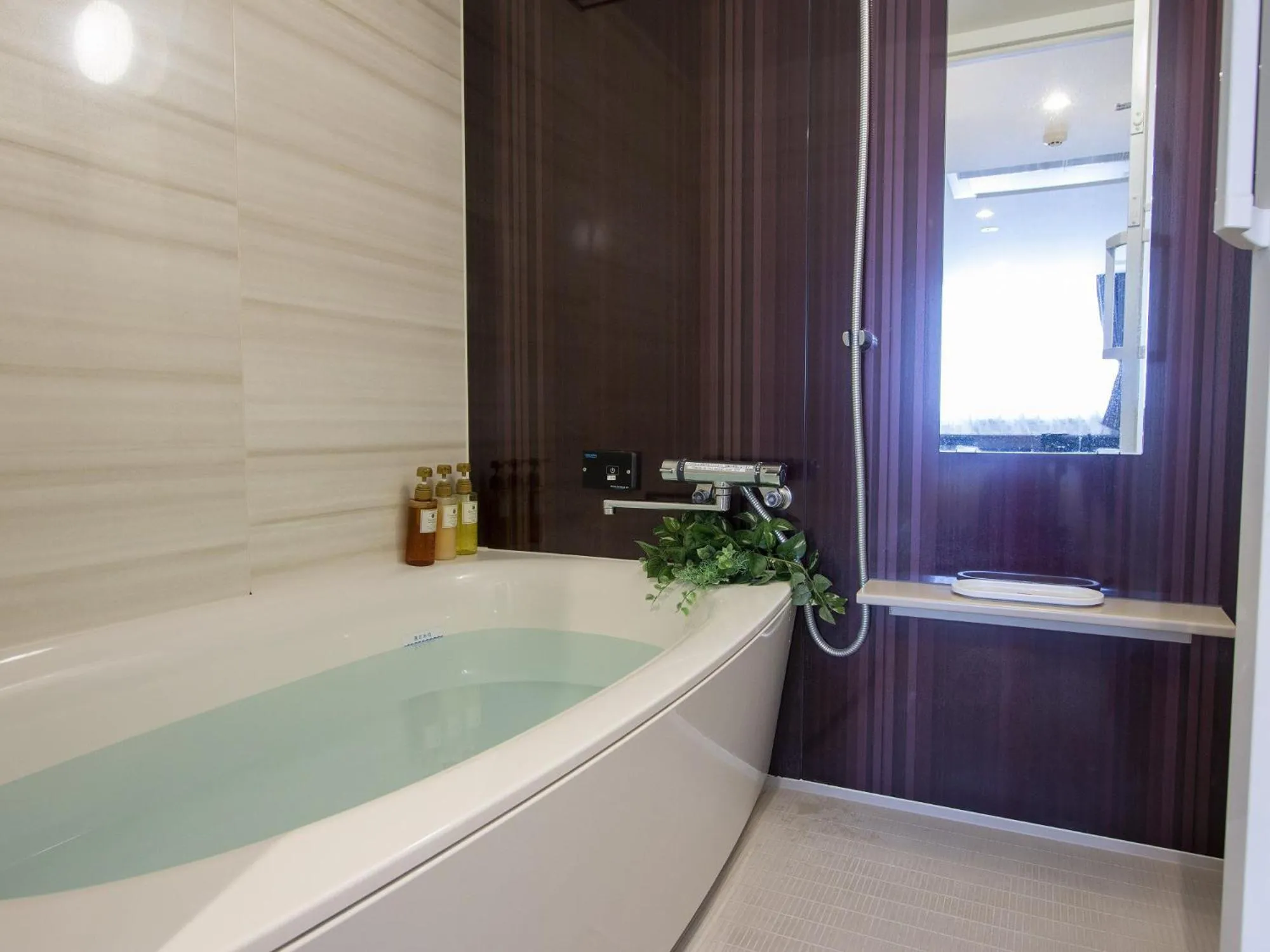 Photo of the whole room in Hotel New Gaea Domemae