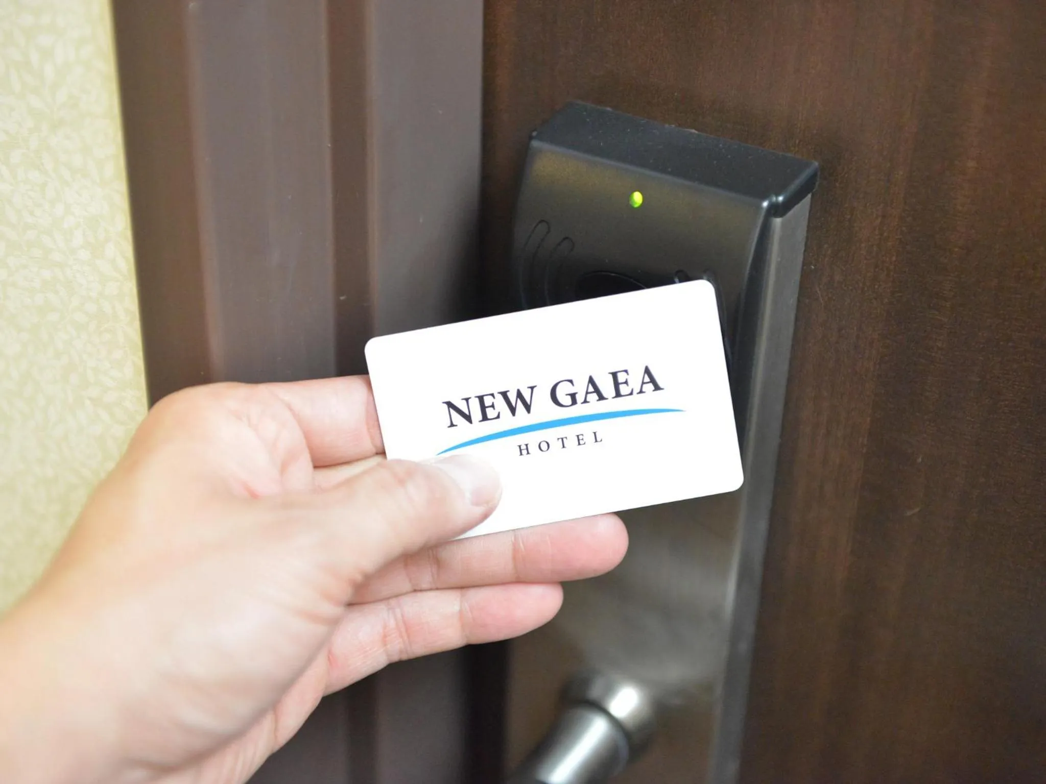 Photo of the whole room in Hotel New Gaea Domemae