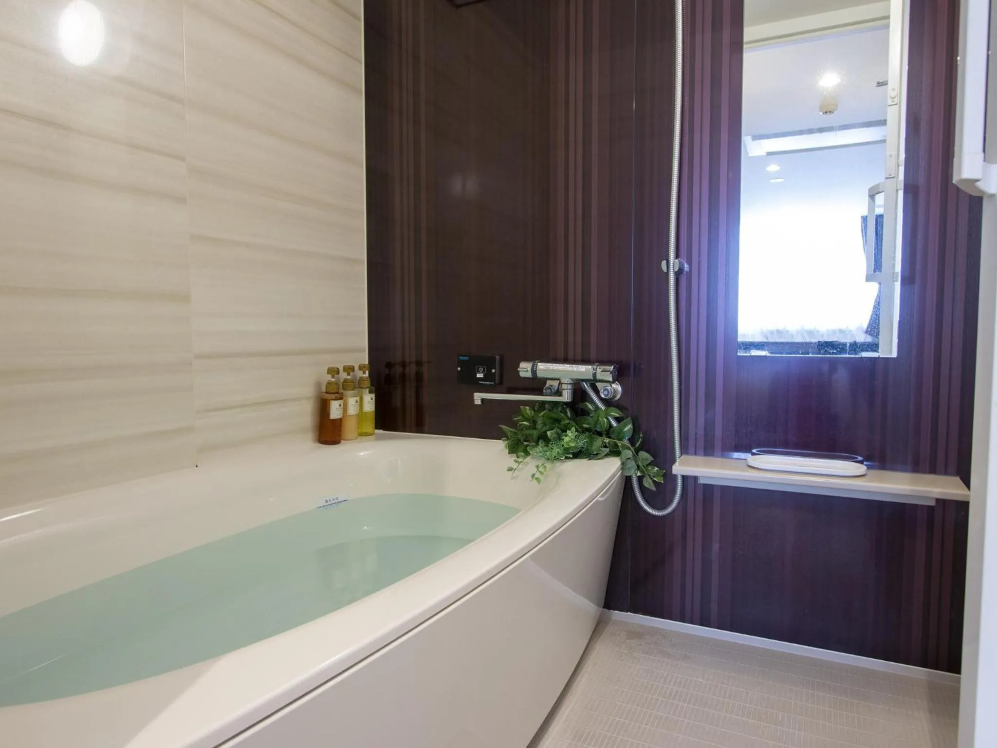 Photo of the whole room in Hotel New Gaea Domemae