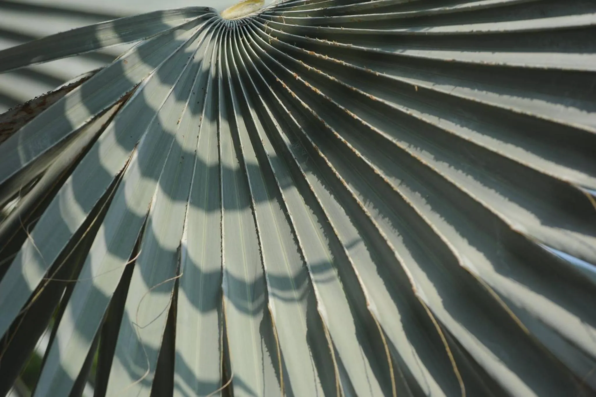 Decorative detail in Chuanthanapanya Resort