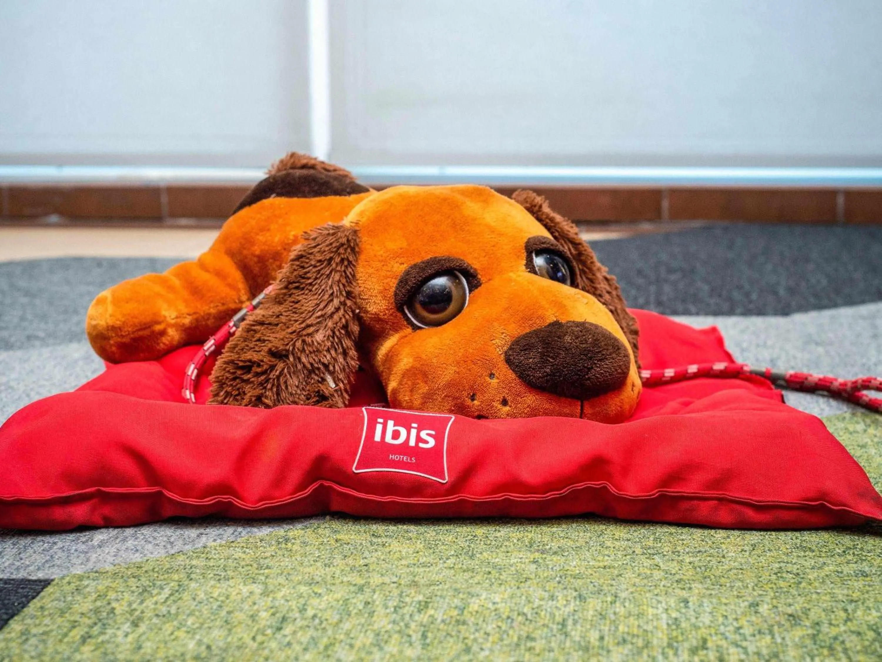 Other in ibis Recife Boa Viagem