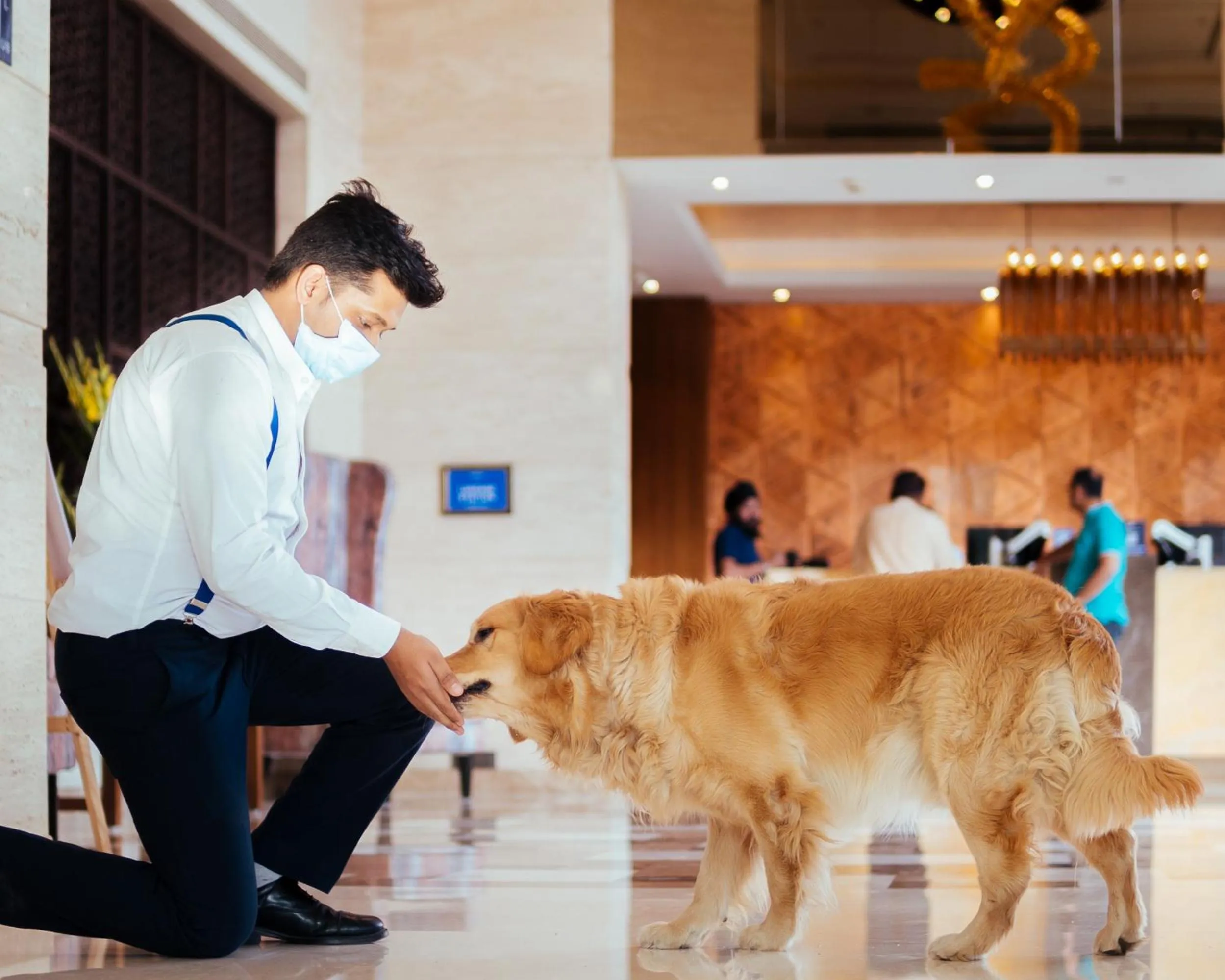 Pets in Novotel Lucknow Gomti Nagar