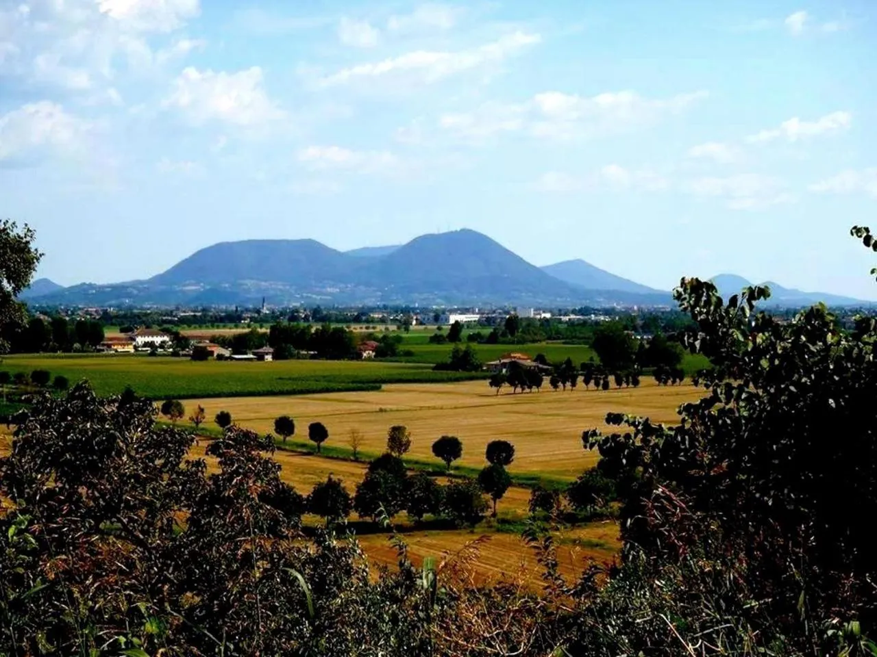 View (from property/room) in Brojo Hill
