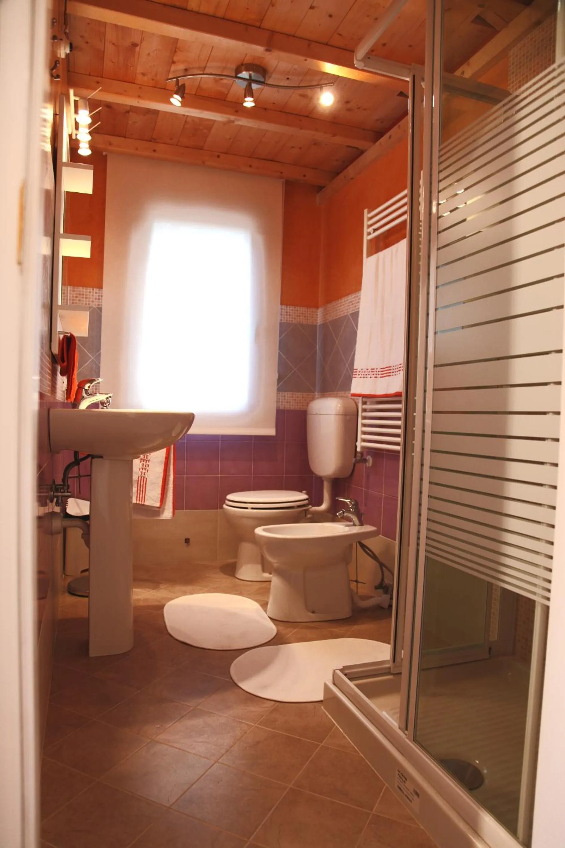 Toilet in Brojo Hill