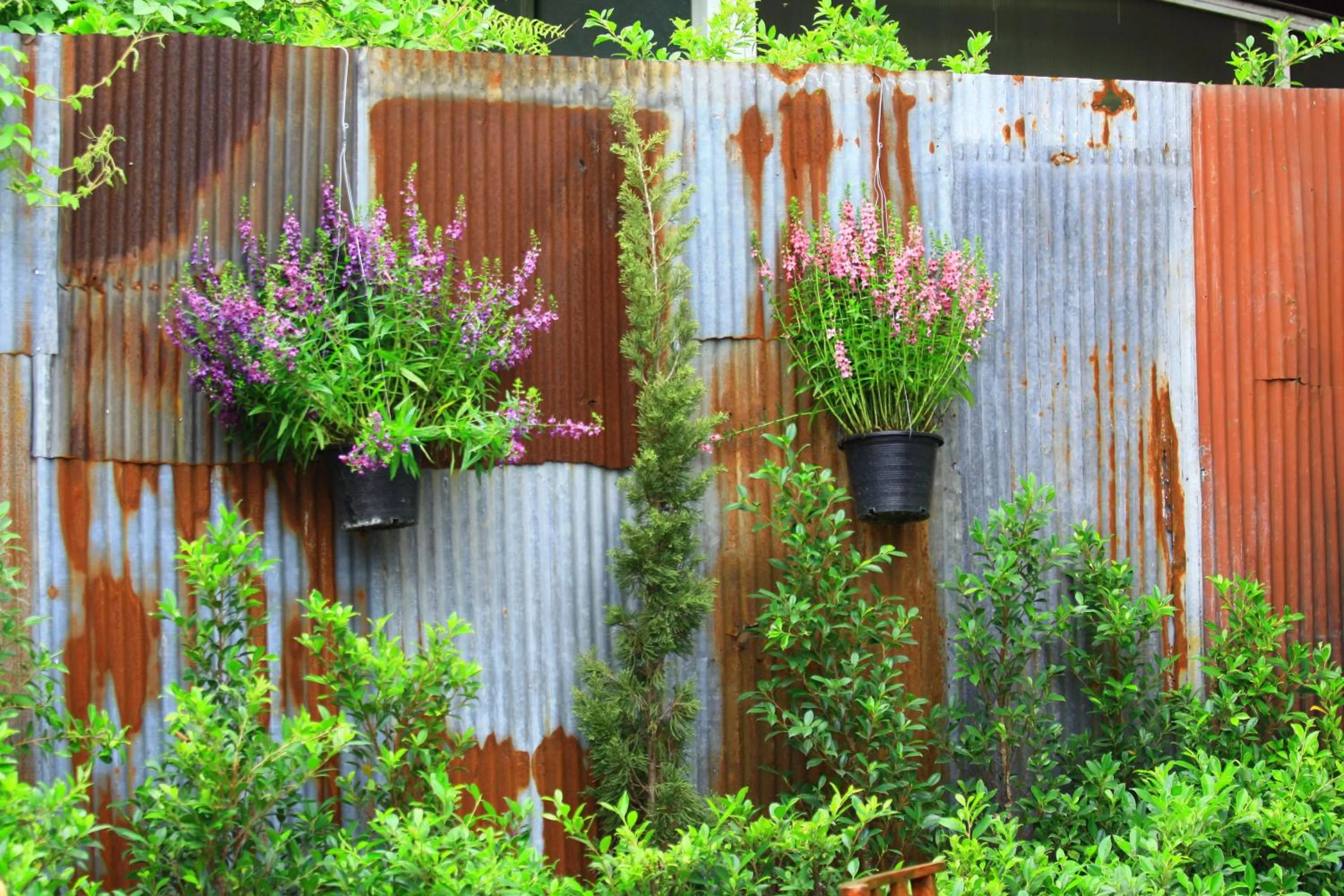 Garden in Paapu House