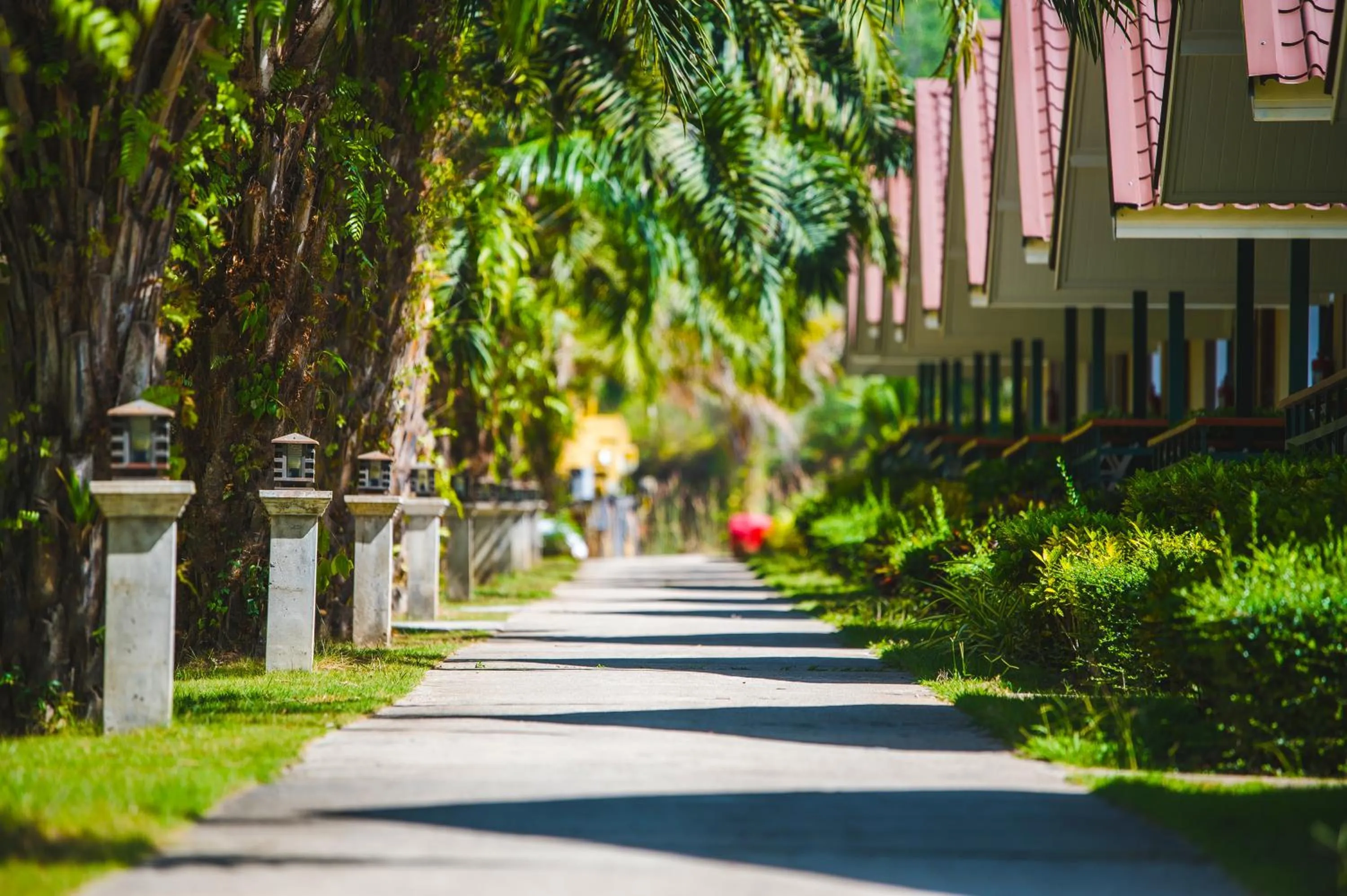 Garden view in Katathong Golf Resort & Spa
