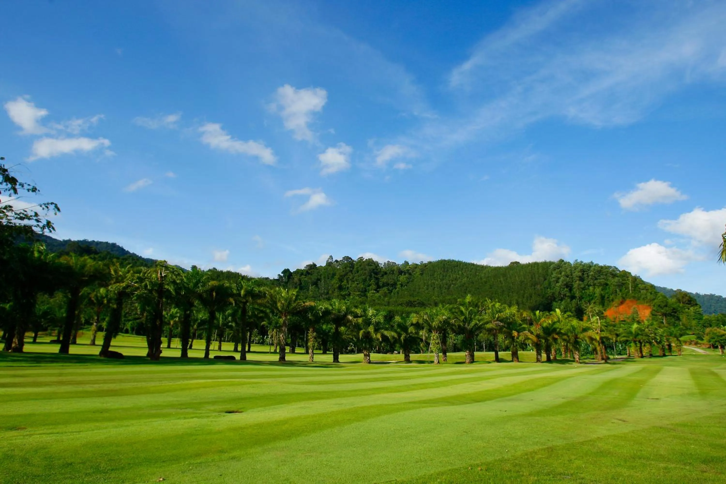 Natural landscape in Katathong Golf Resort & Spa
