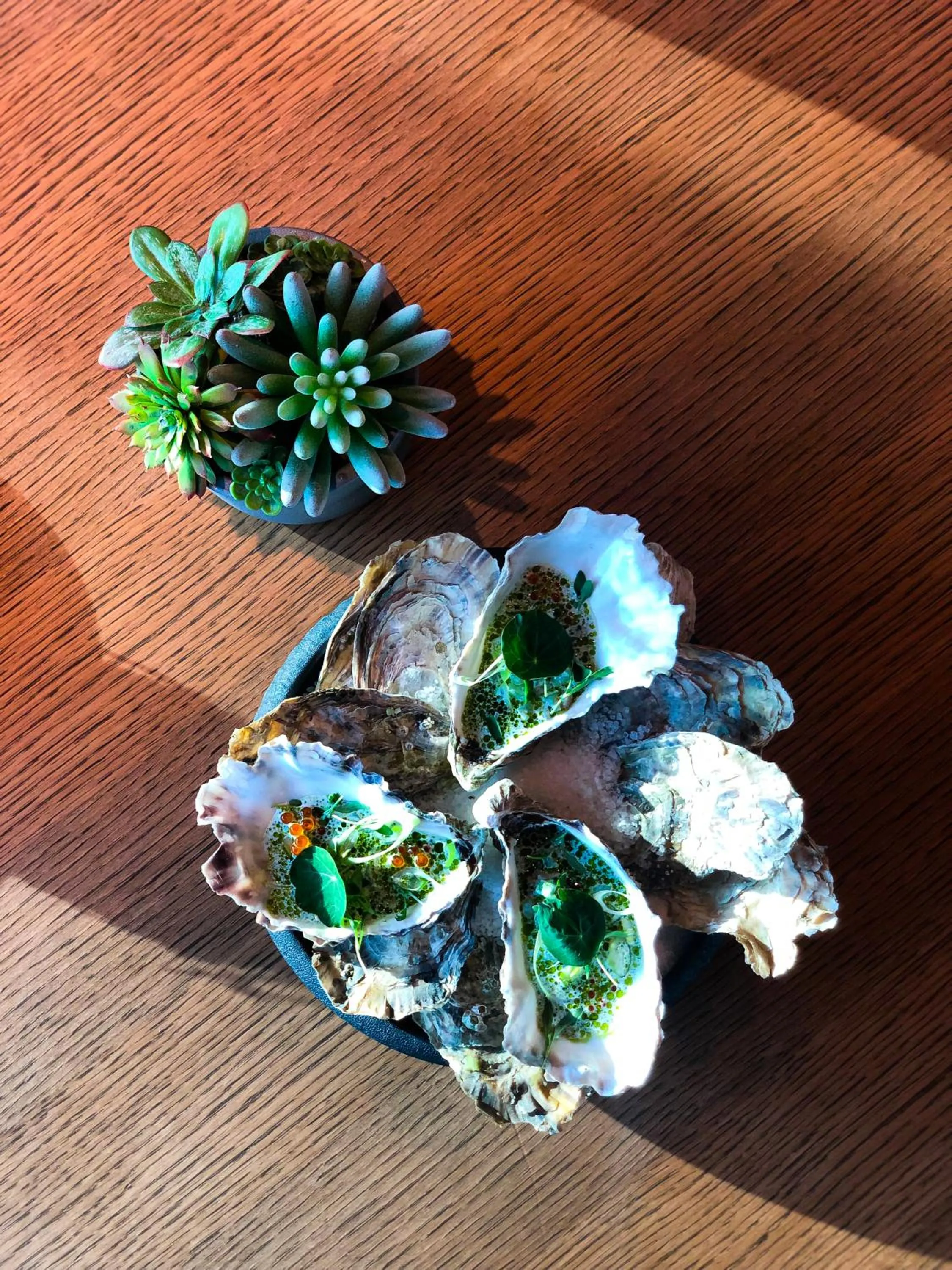 Lunch in Hotel Sophia by Tartuhotels