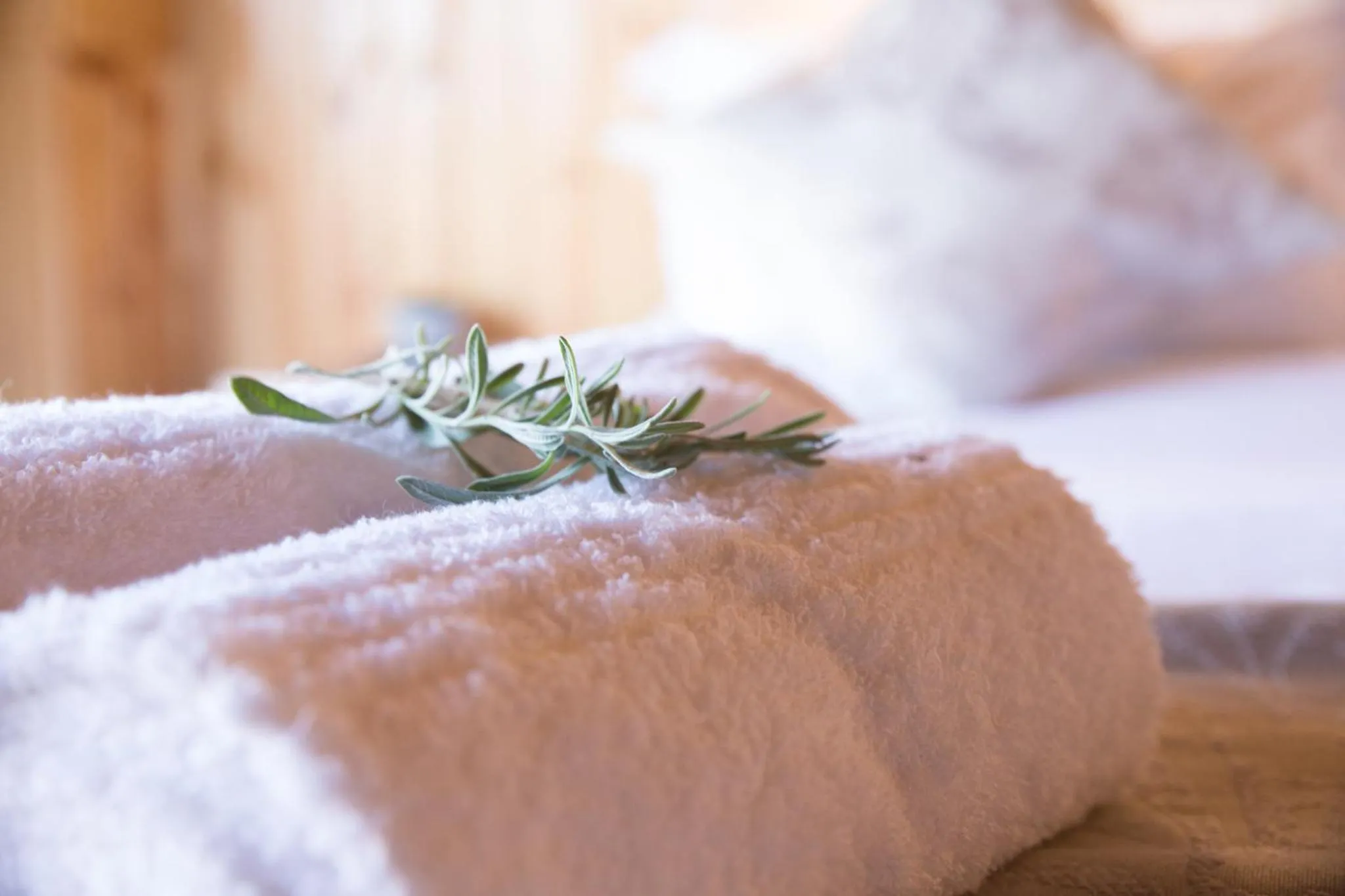Bed in Kalahari Lion's Rest