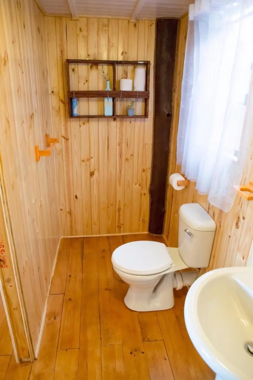 Kalahari Lion's Rest