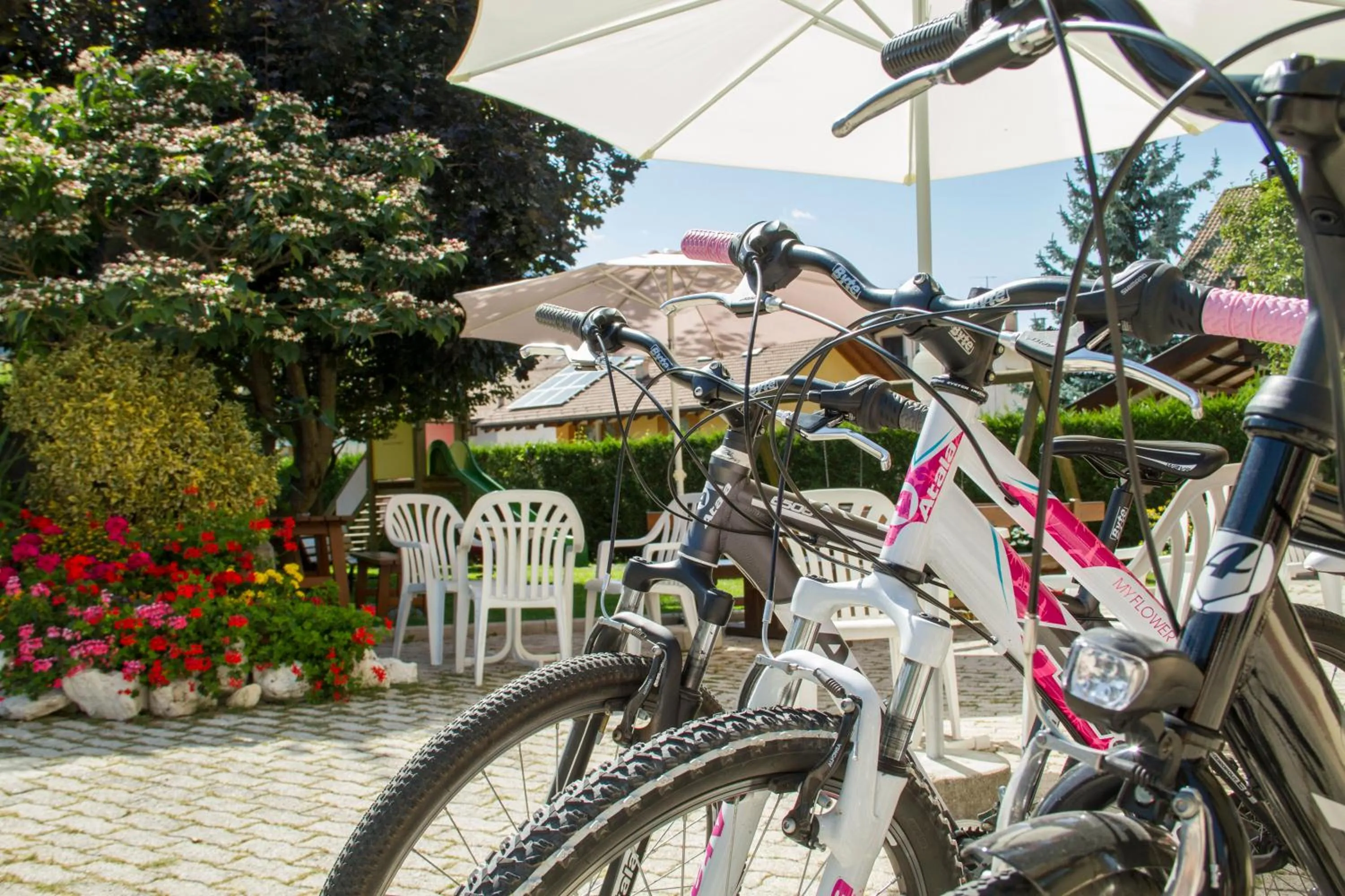 Cycling in Hotel Genzianella