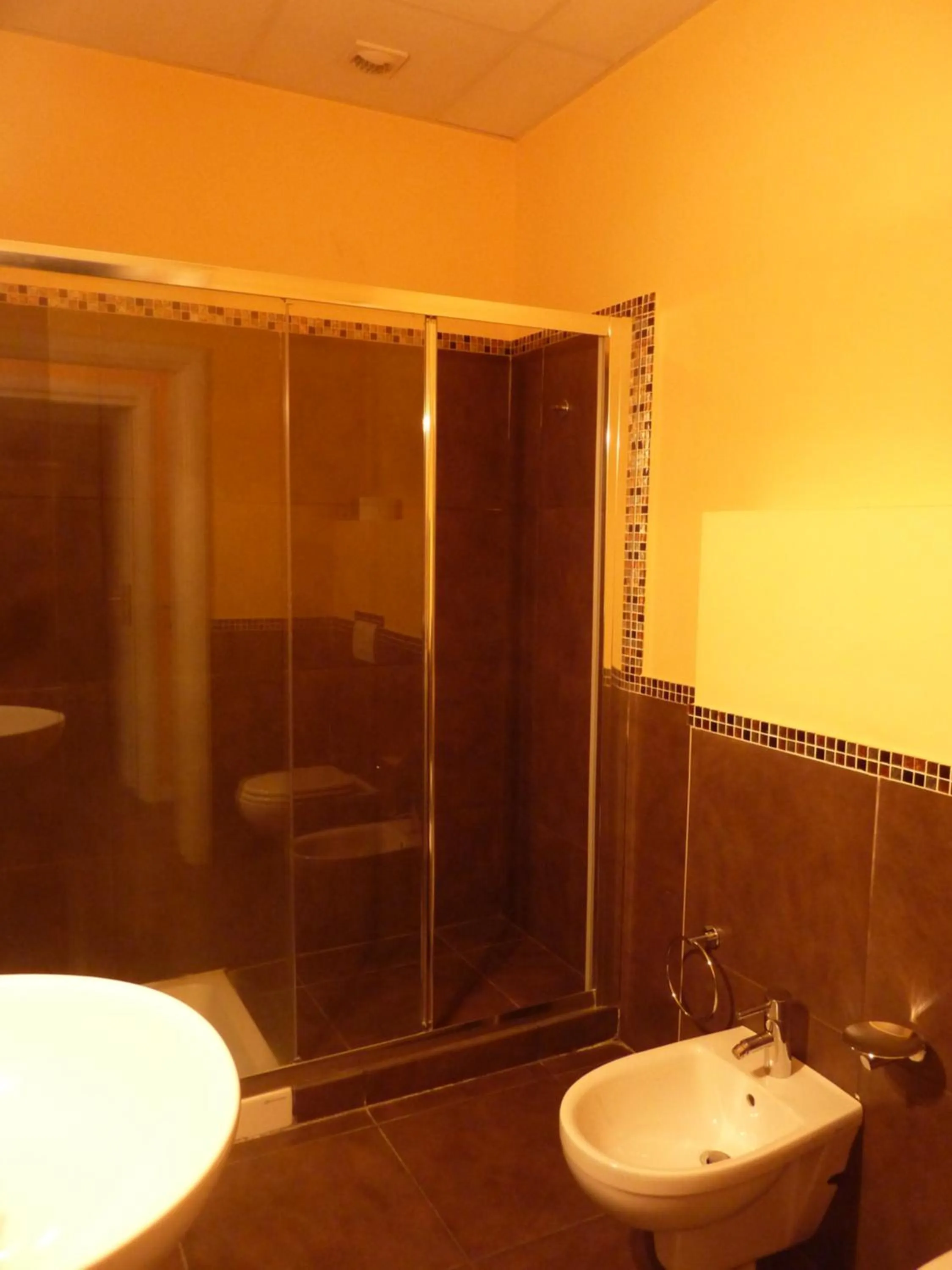 Shower in Hotel Padus Meublè Parma